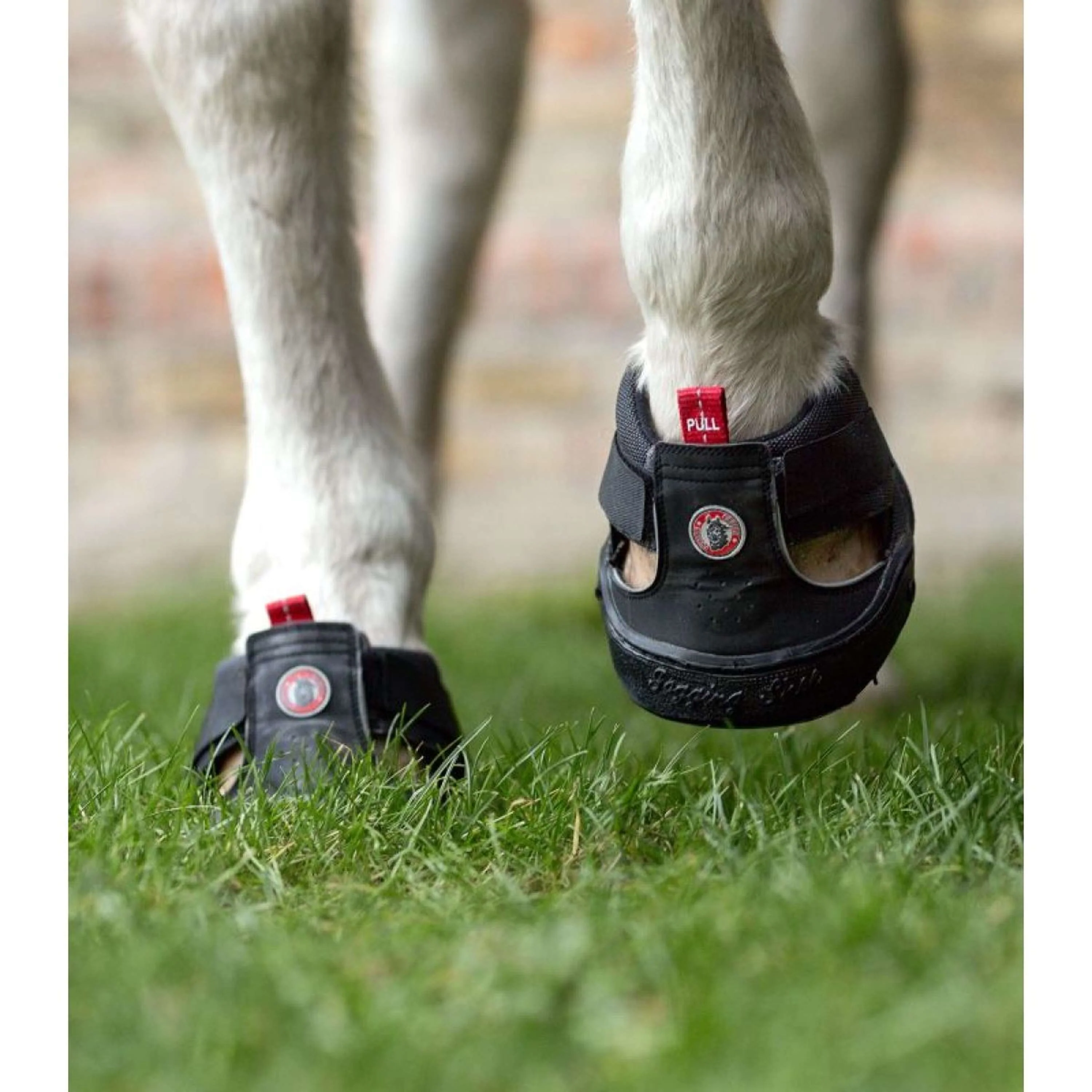Equine Fusion Hipposandale Trekking Noir - Image 4