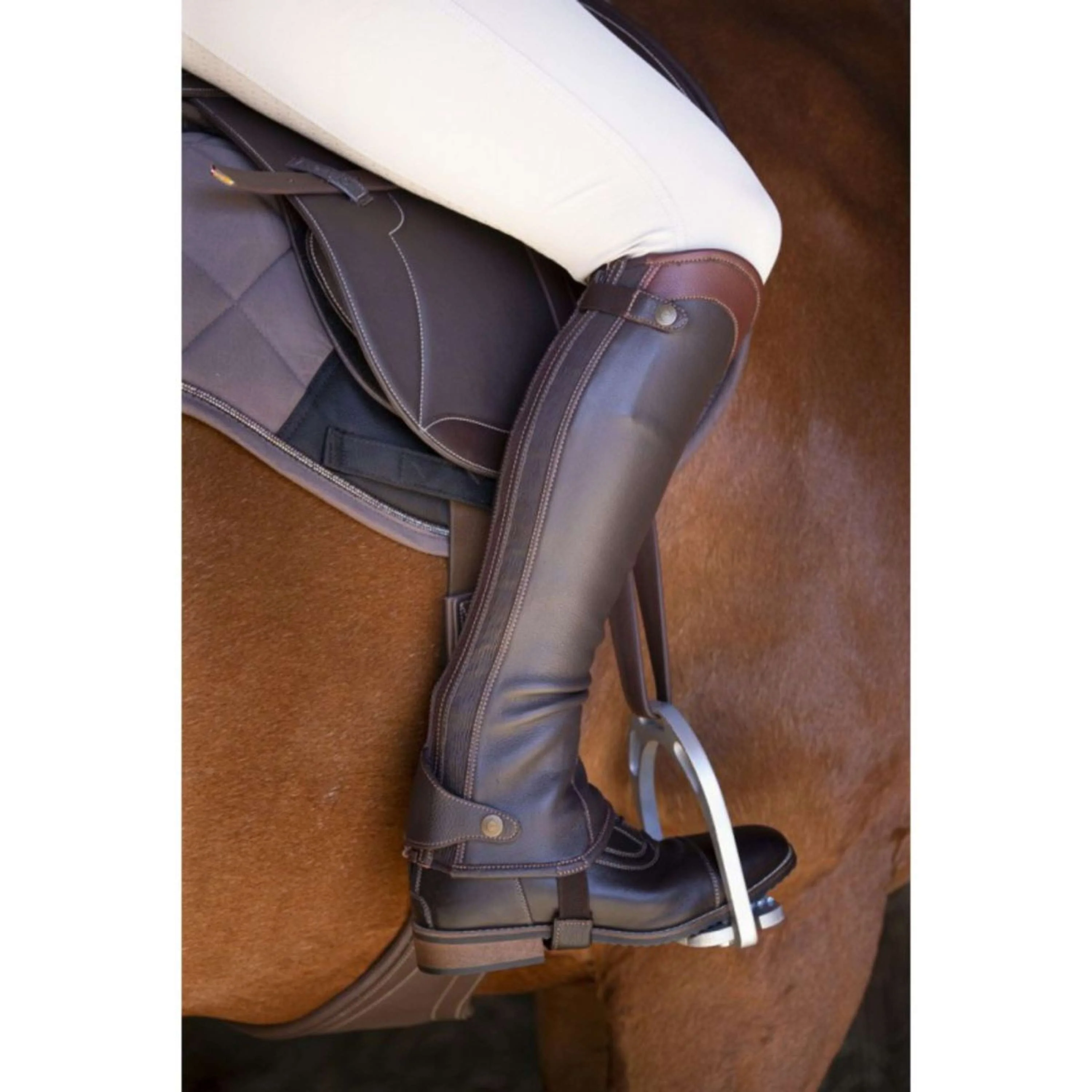 EQUITHÈME Chaps Elite Marron - Image 4