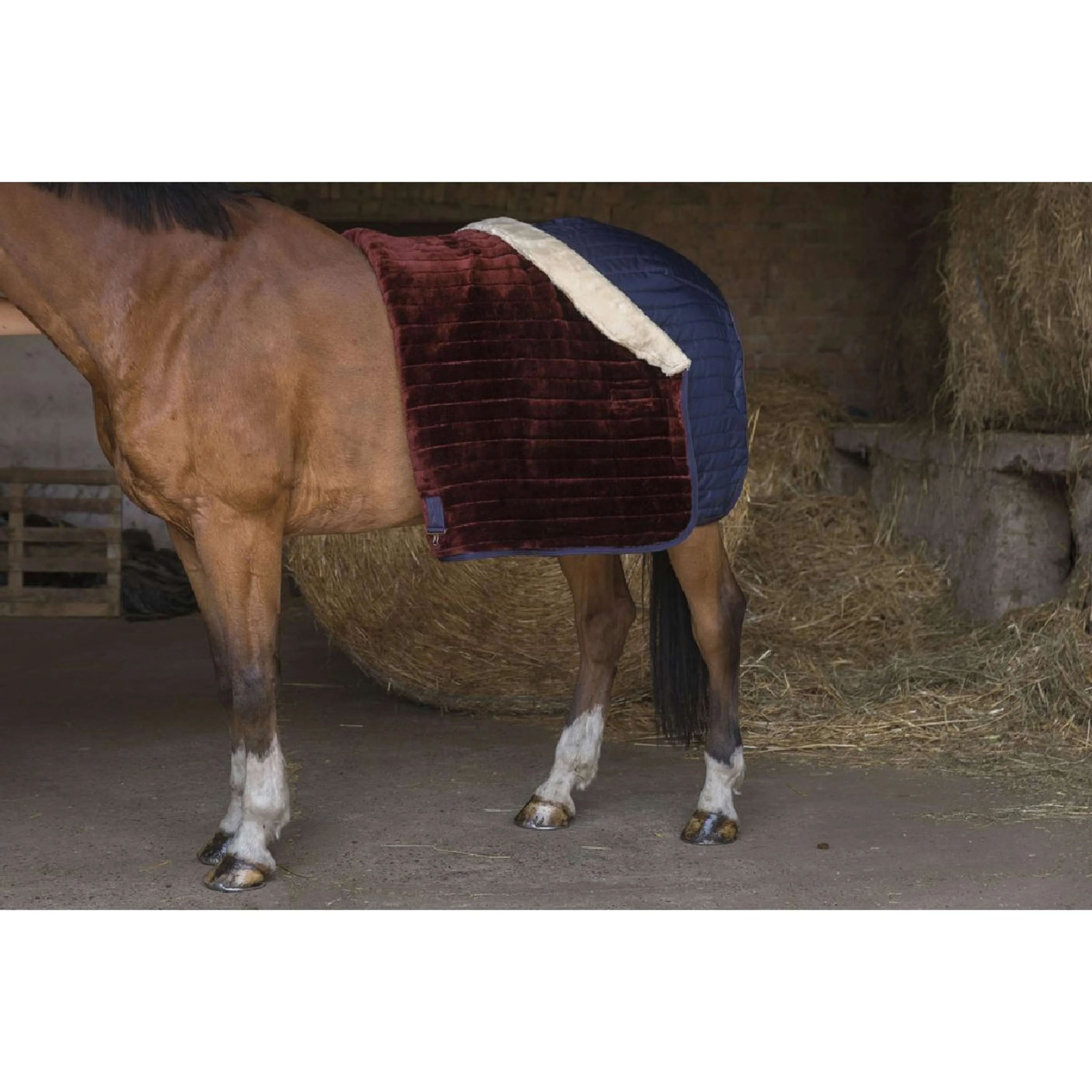 EQUITHÈME Couverture d'Écurie Teddy Doublé de Peau de Mouton Synthétique Marin - Image 10