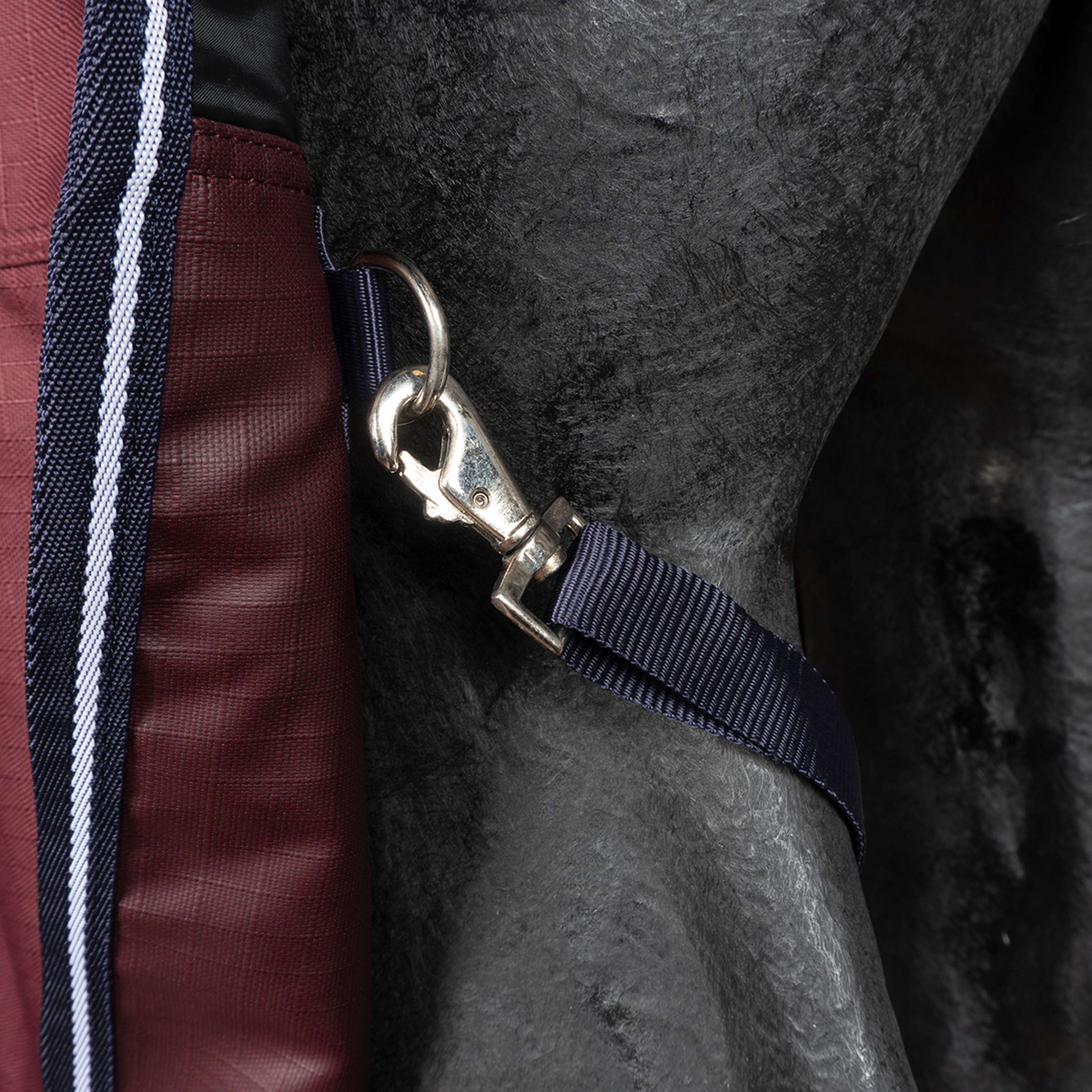 EQUITHÈME Couverture d'Extérieur Tyrex 1200D 0g High Neck Bordeaux - Image 11