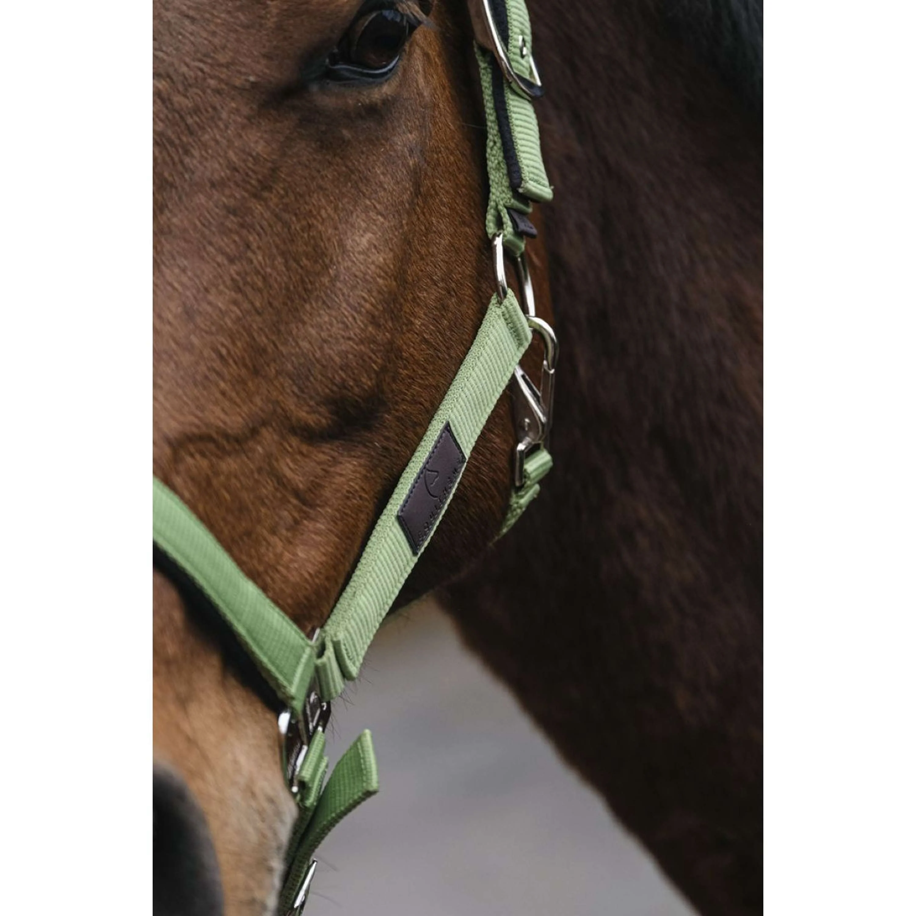 EQUITHÈME Licol Spring Nylon Vert clair - Image 3