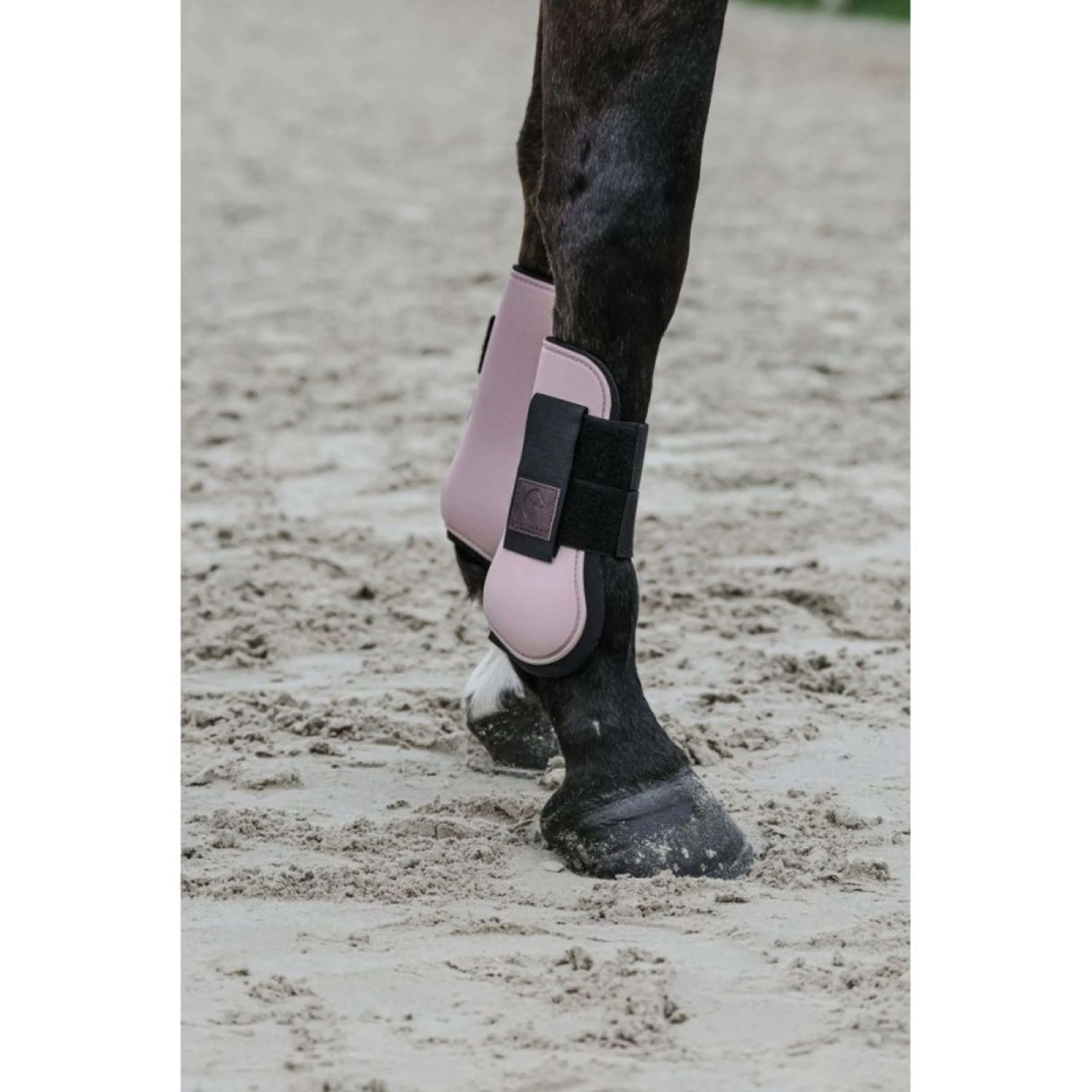 EQUITHÈME Protèges-Tendons Rose - Image 2