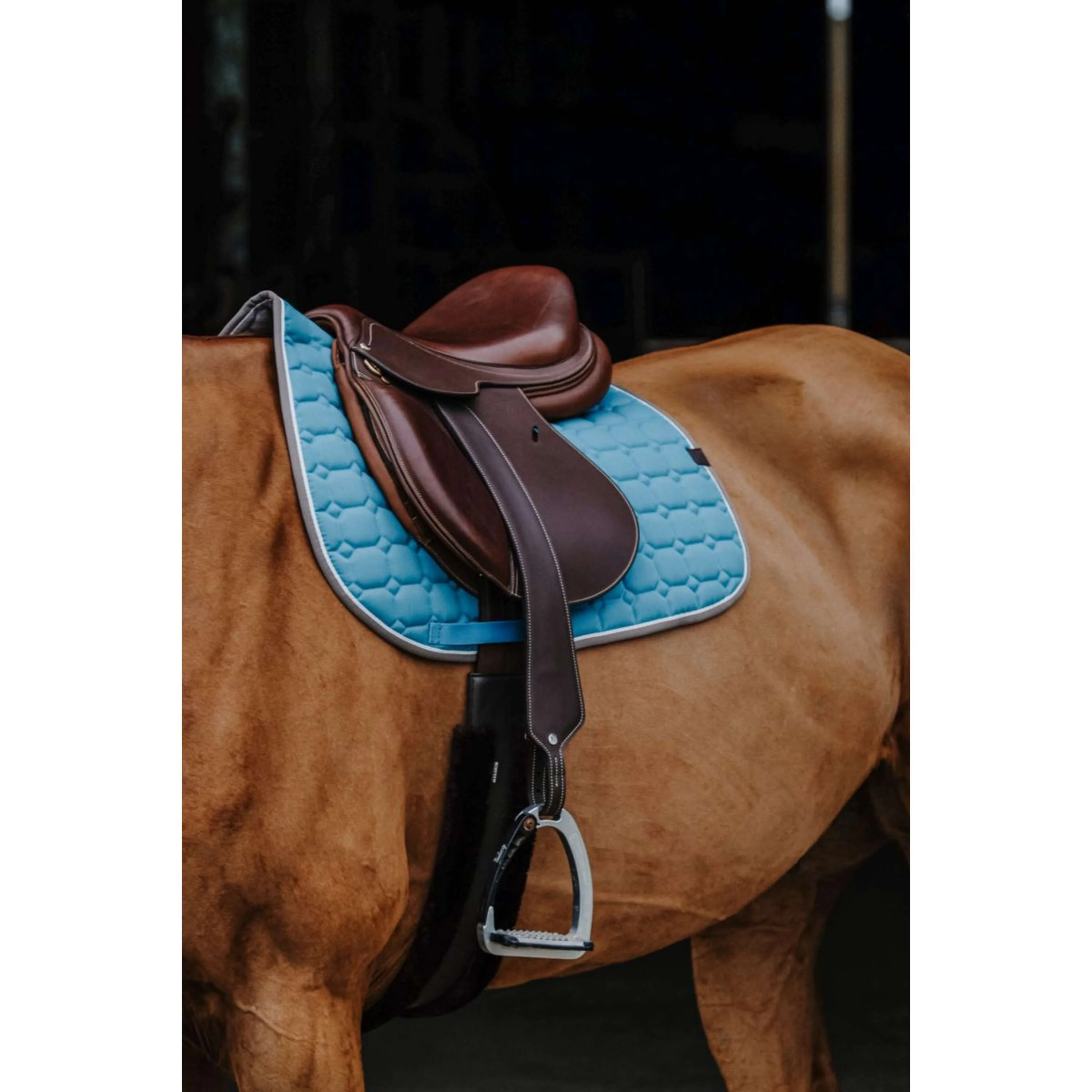 EQUITHÈME Tapis de Selle Orion Turquoise - Image 2