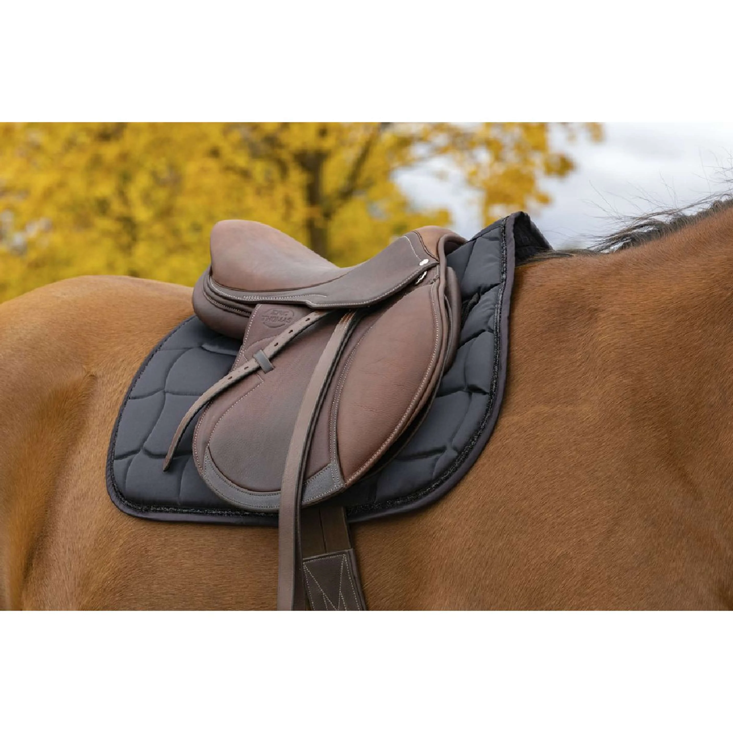 EQUITHÈME Tapis de Selle Satin Dressage Noir - Image 2