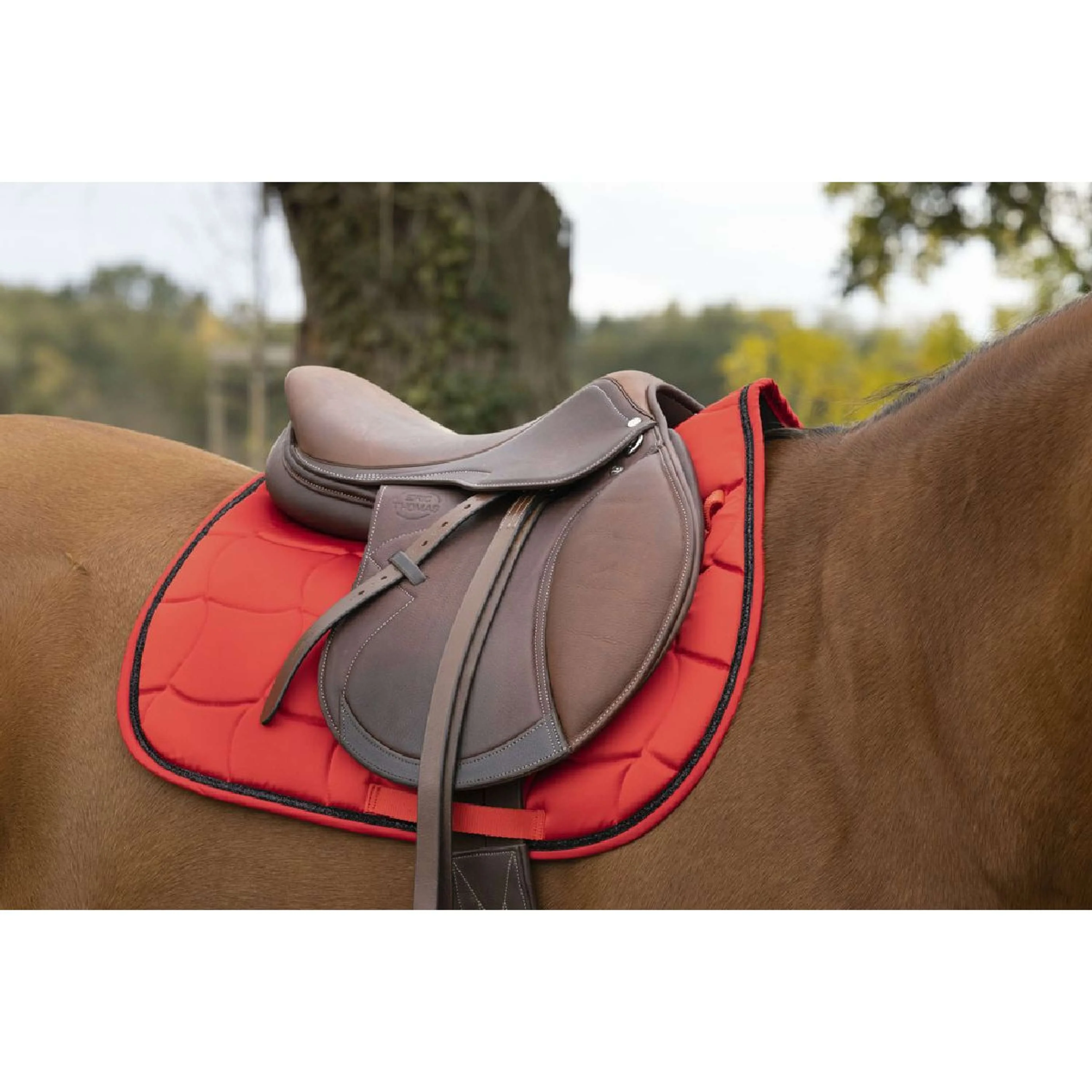EQUITHÈME Tapis de Selle Satin Polyvalent Rouge - Image 2
