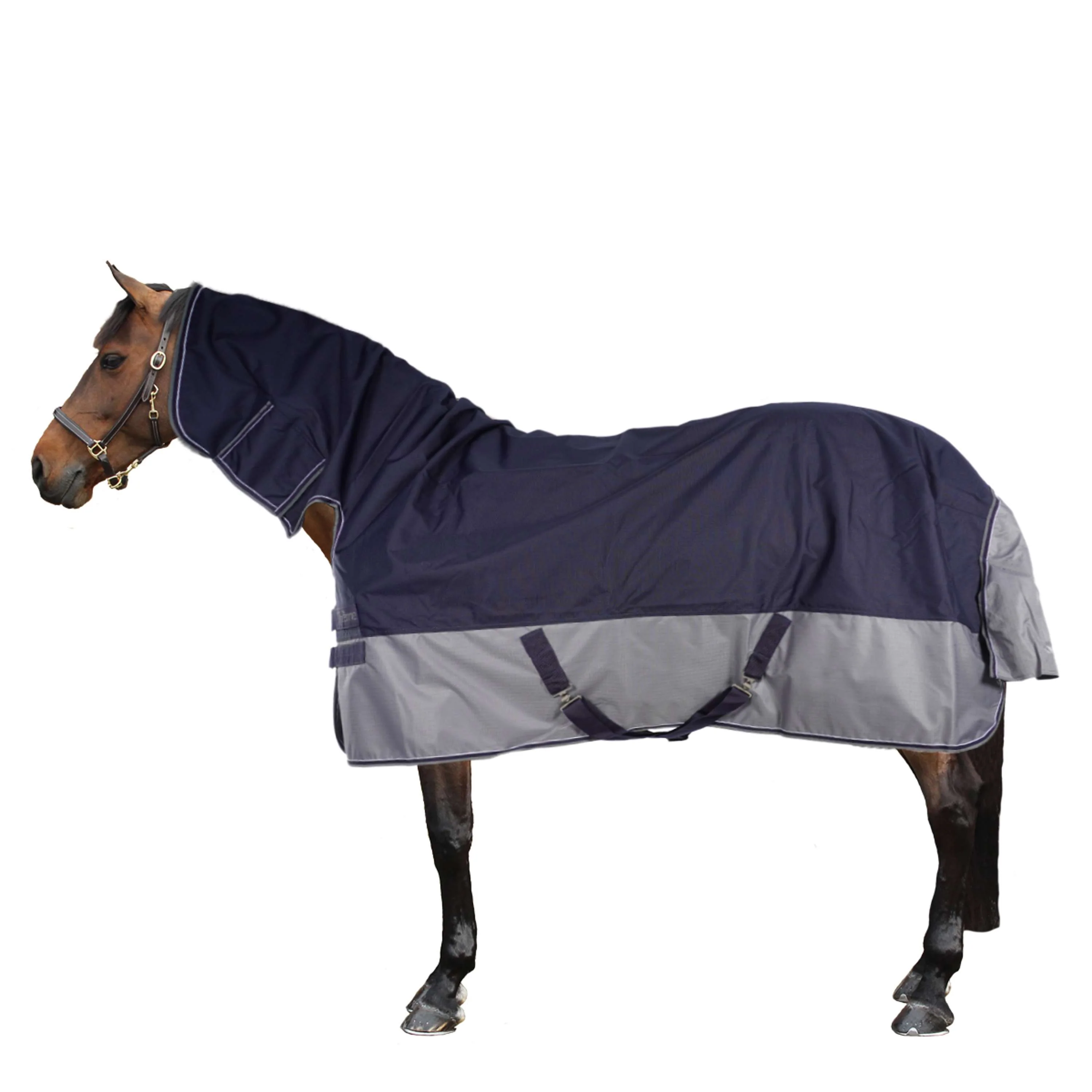 EQUITHÈME Turnout Rug Tyrex Combo 600D 350g Marine/Gris Dots - Image 2
