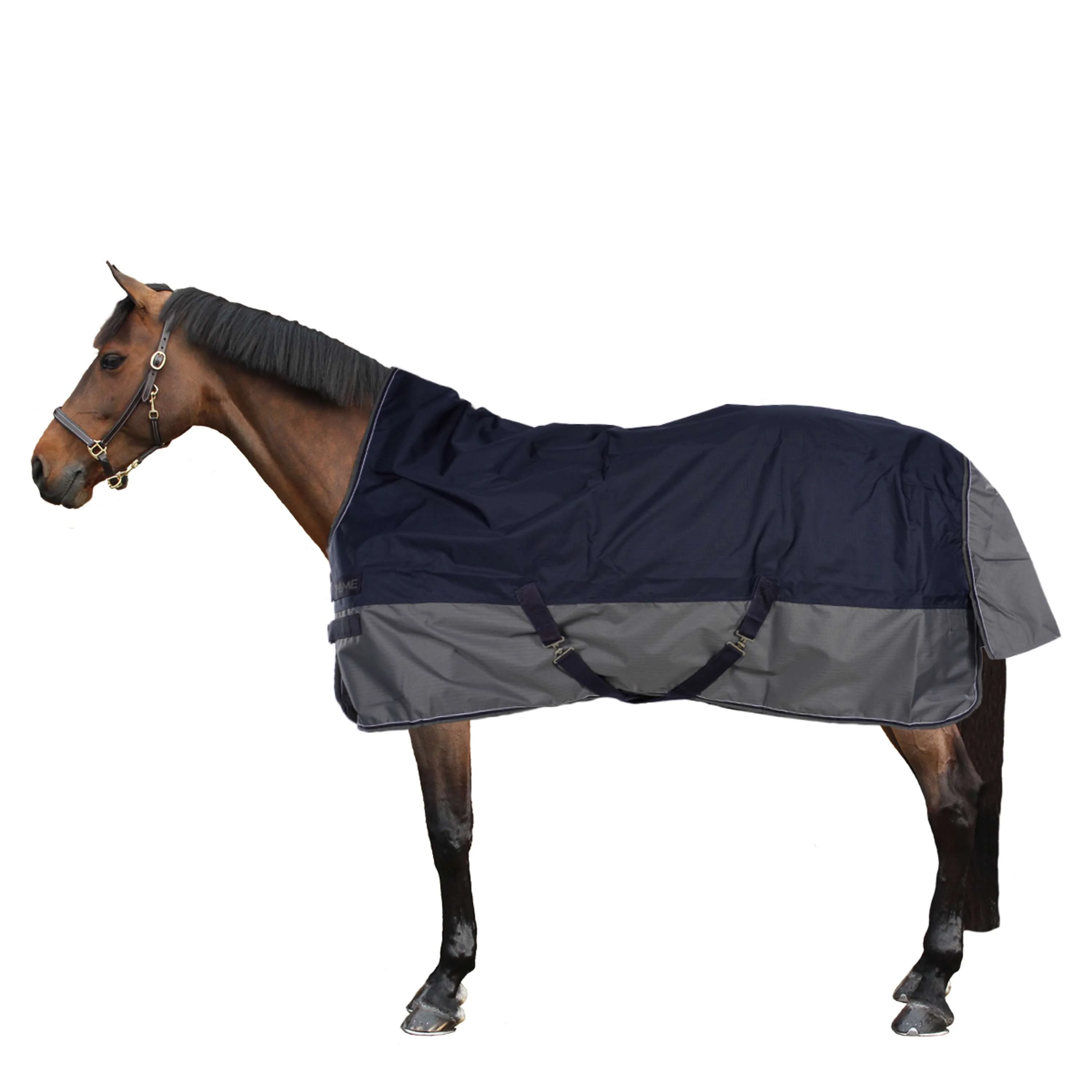 EQUITHÈME Turnout Rug Tyrex High Neck 600D 300g Marine/Gris Dots - Image 2