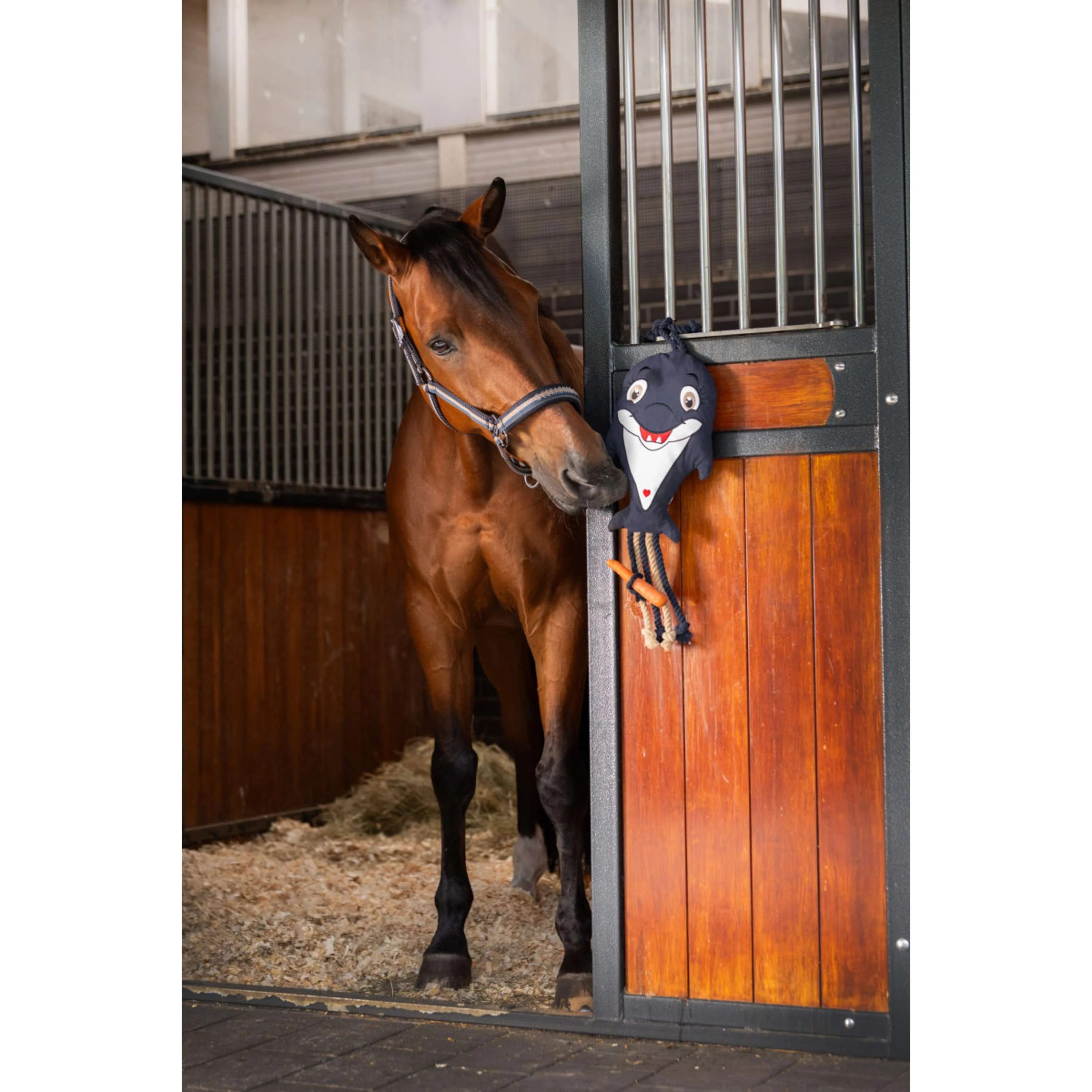 Eskadron Jouet Classic Sports Marin - Image 2
