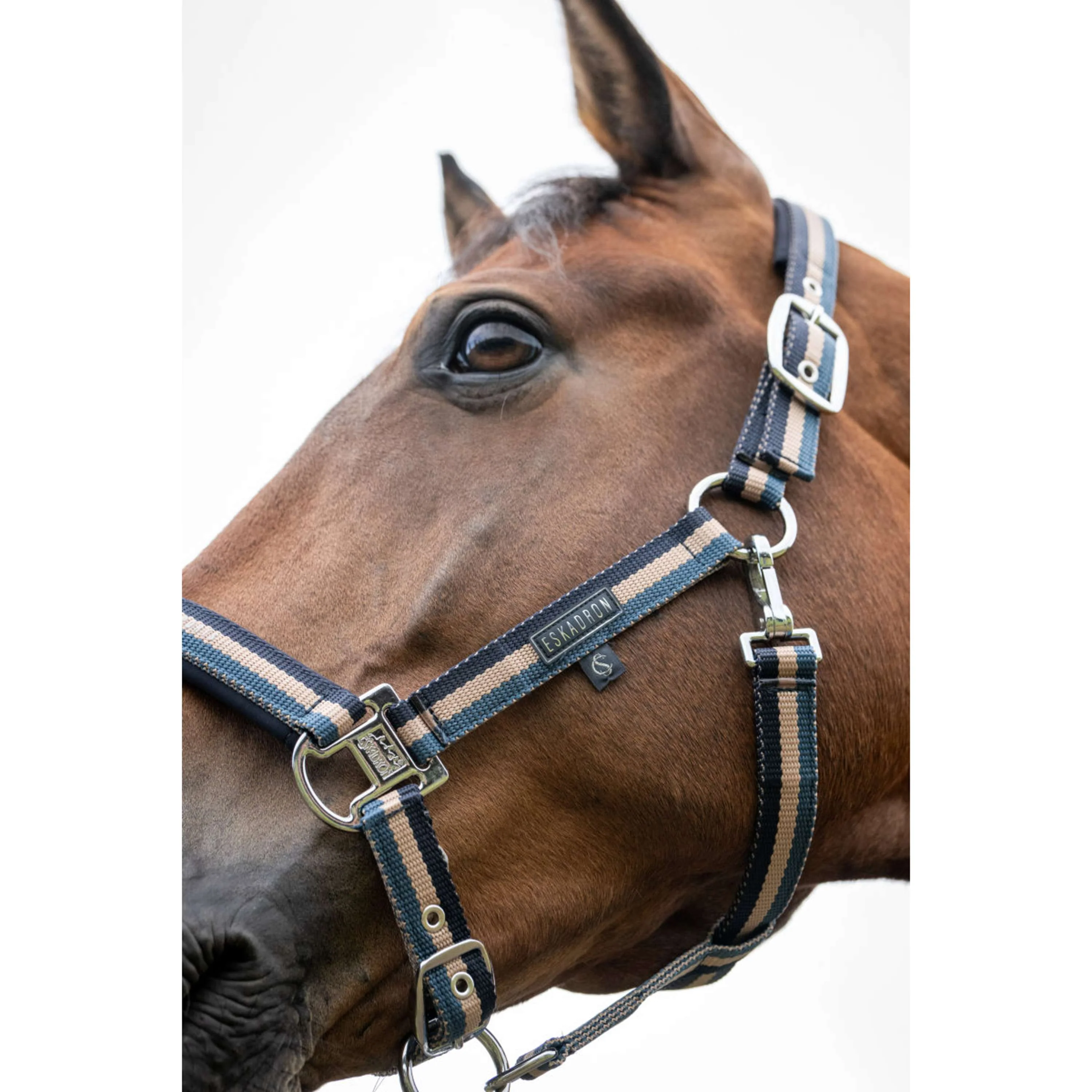 Eskadron Licol Classic Sports Double Pin Ocean/Sierra/Navy - Image 2