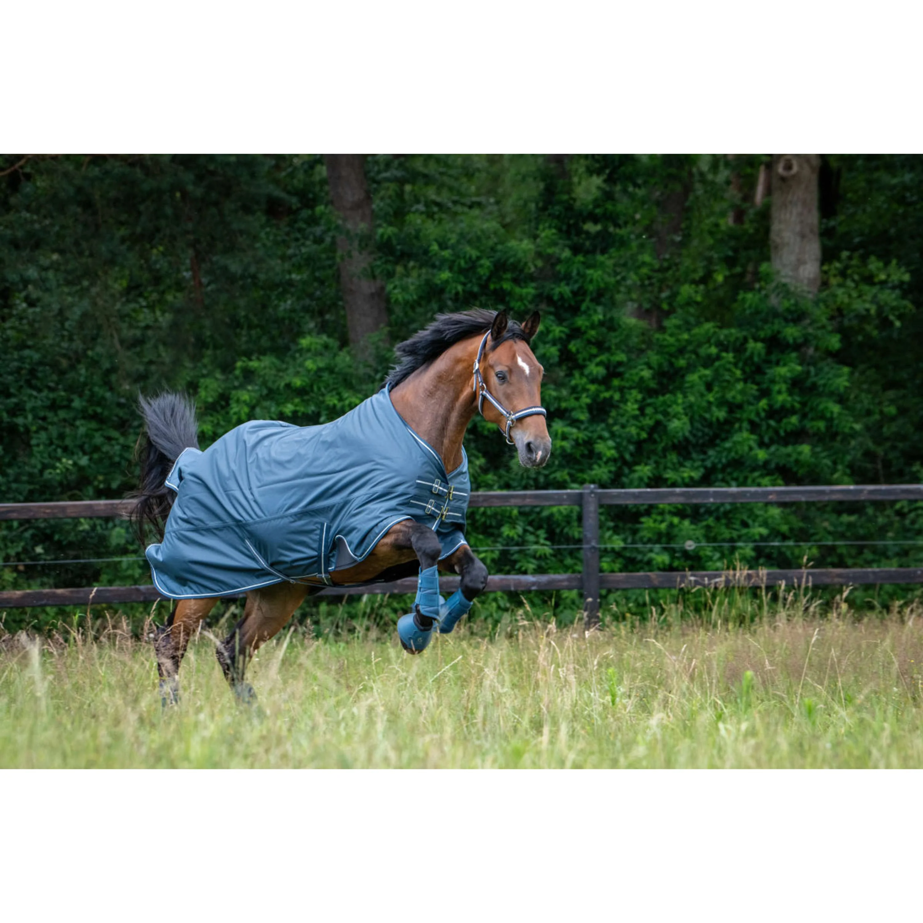 Eskadron Cloches d'Obstacles Classic Sports Softslate Ocean - Image 2