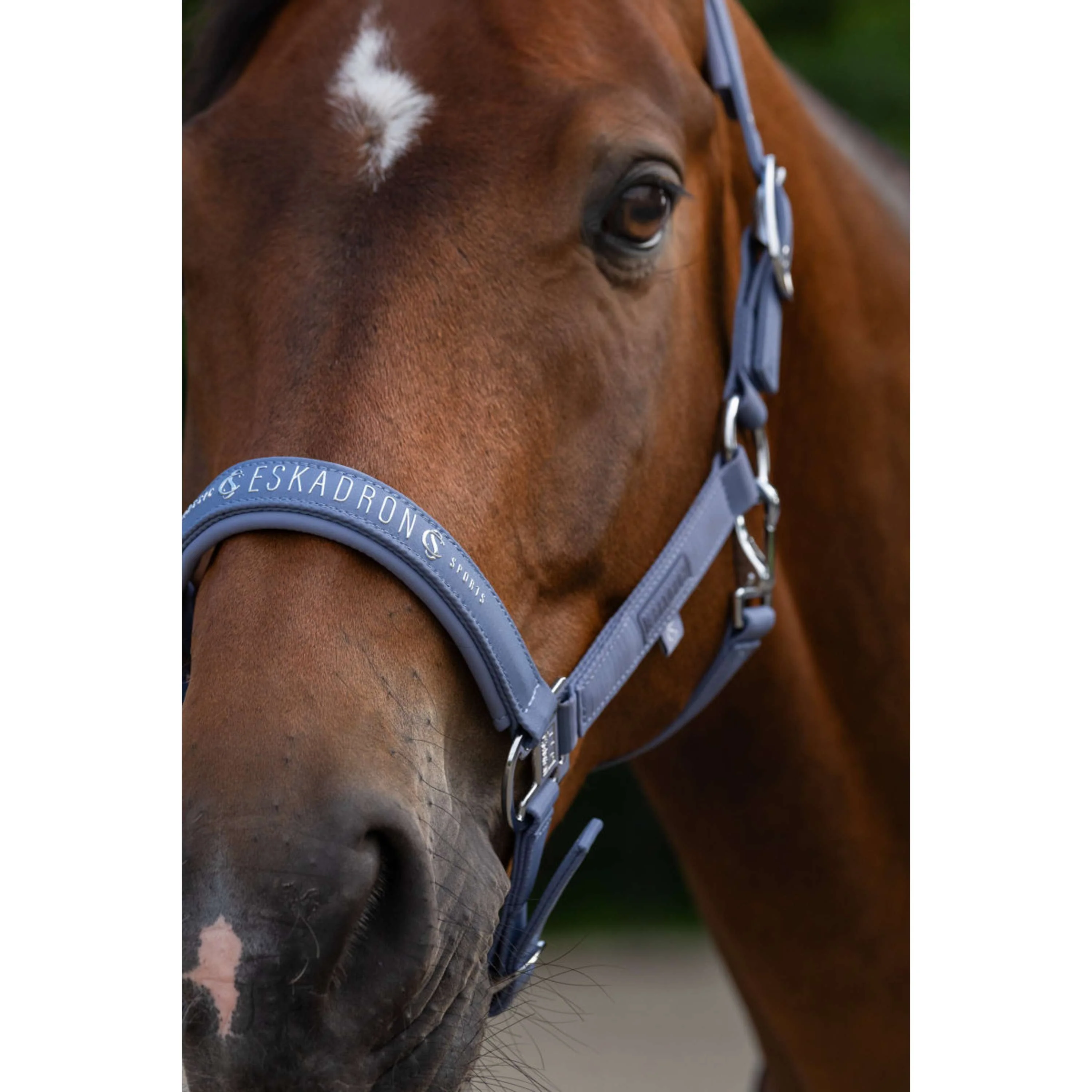 Eskadron Licol Classic Sports Sparkle Orchid - Image 3