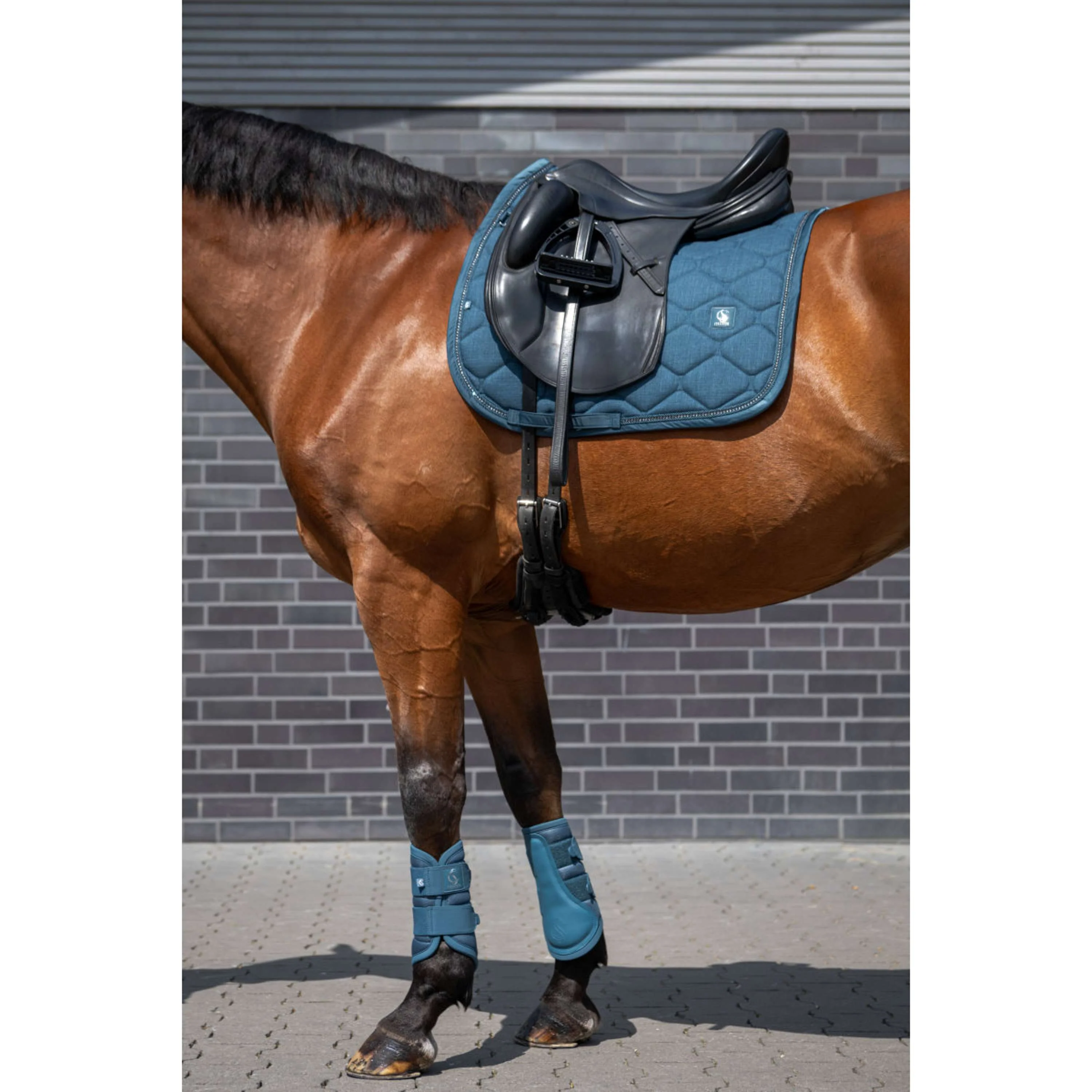 Eskadron Dressage Boots Classic Sports Mesh Ocean - Image 3