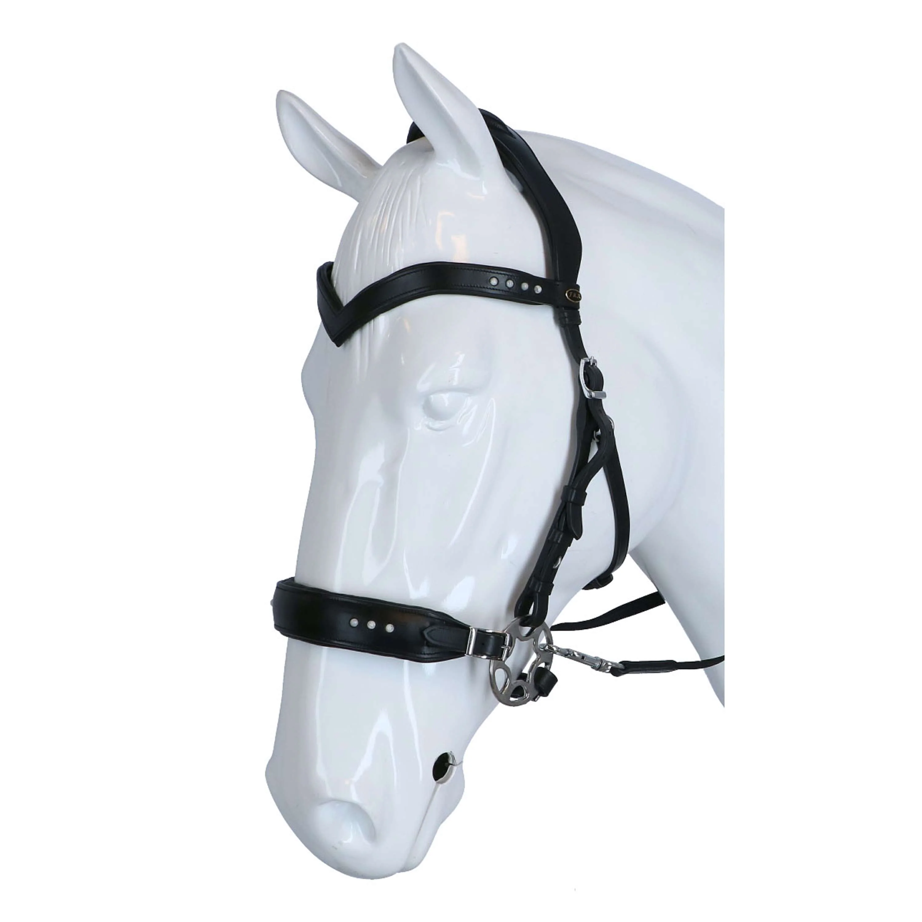 F.R.A. Bridon Glory Hackamore Cuir avec Perles Noir - Image 2
