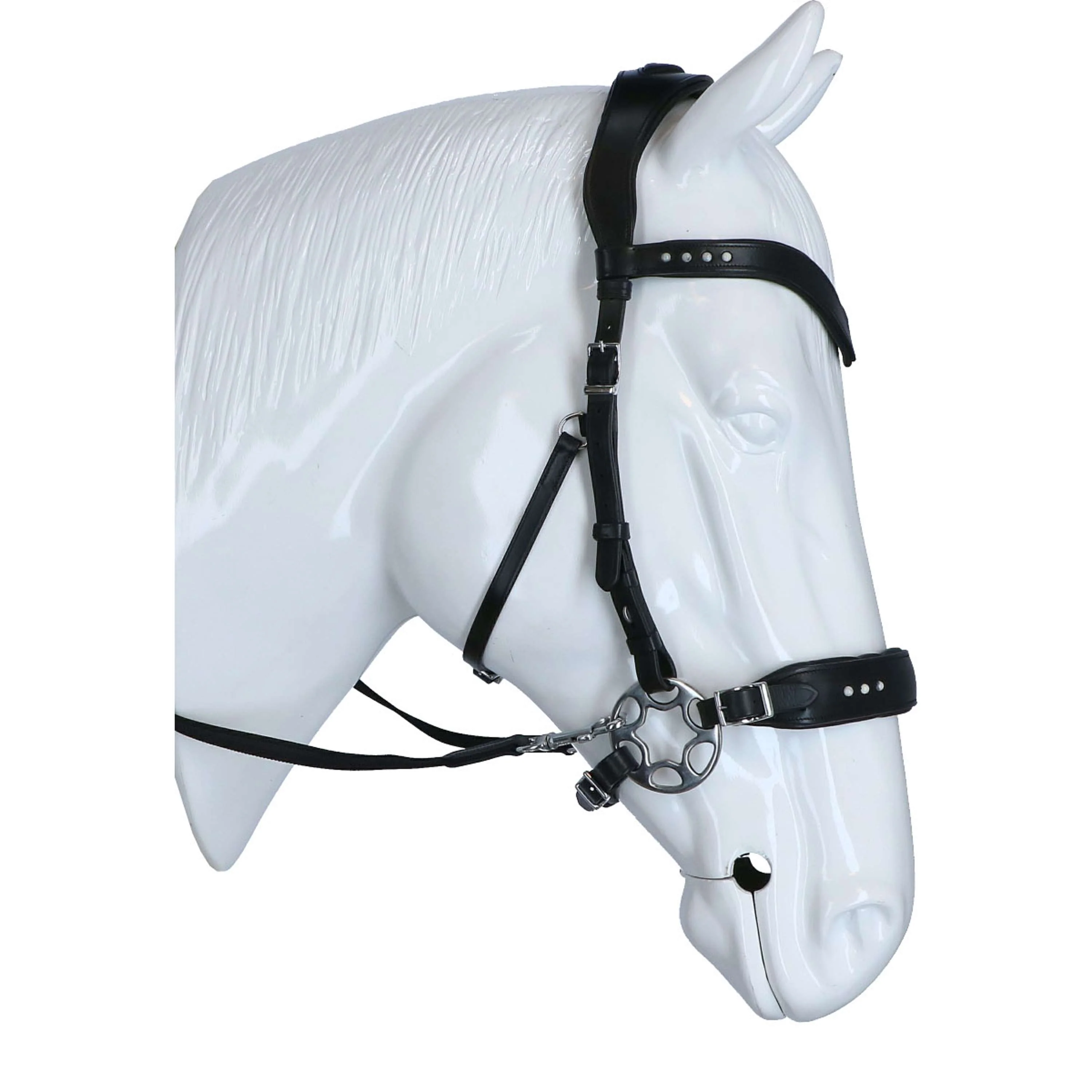 F.R.A. Bridon Glory Hackamore Cuir avec Perles Noir - Image 4