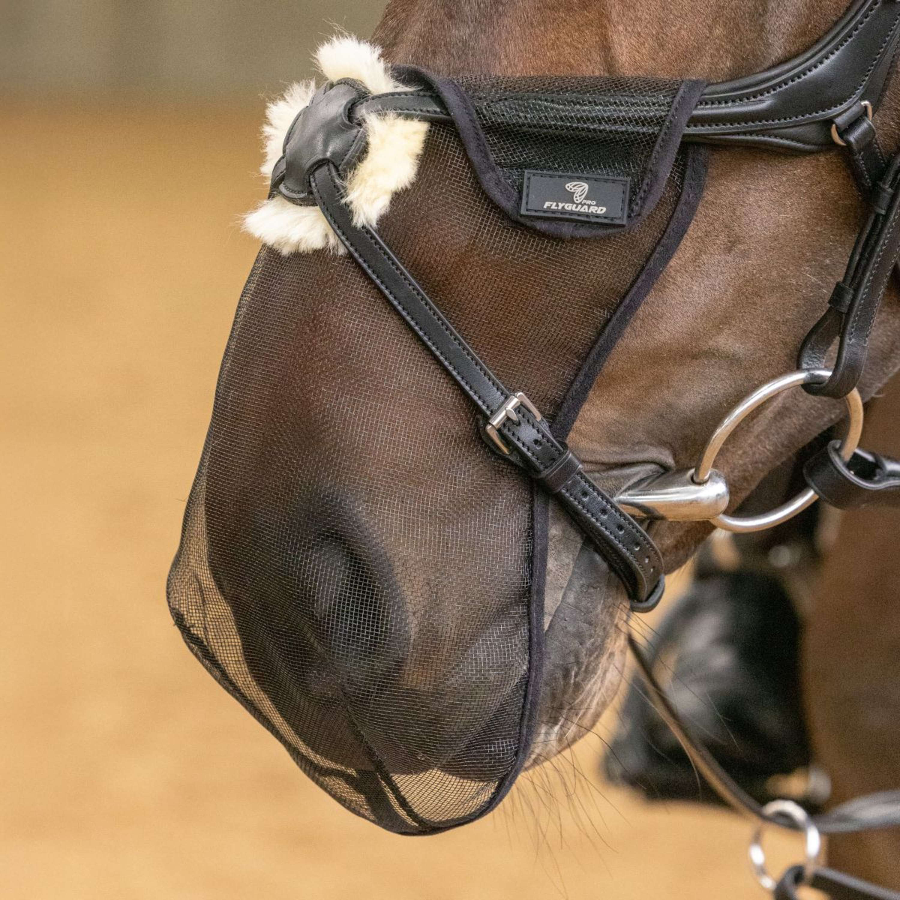FlyGuard by Shires Filet pour Naseaux Pro Noir - Image 2