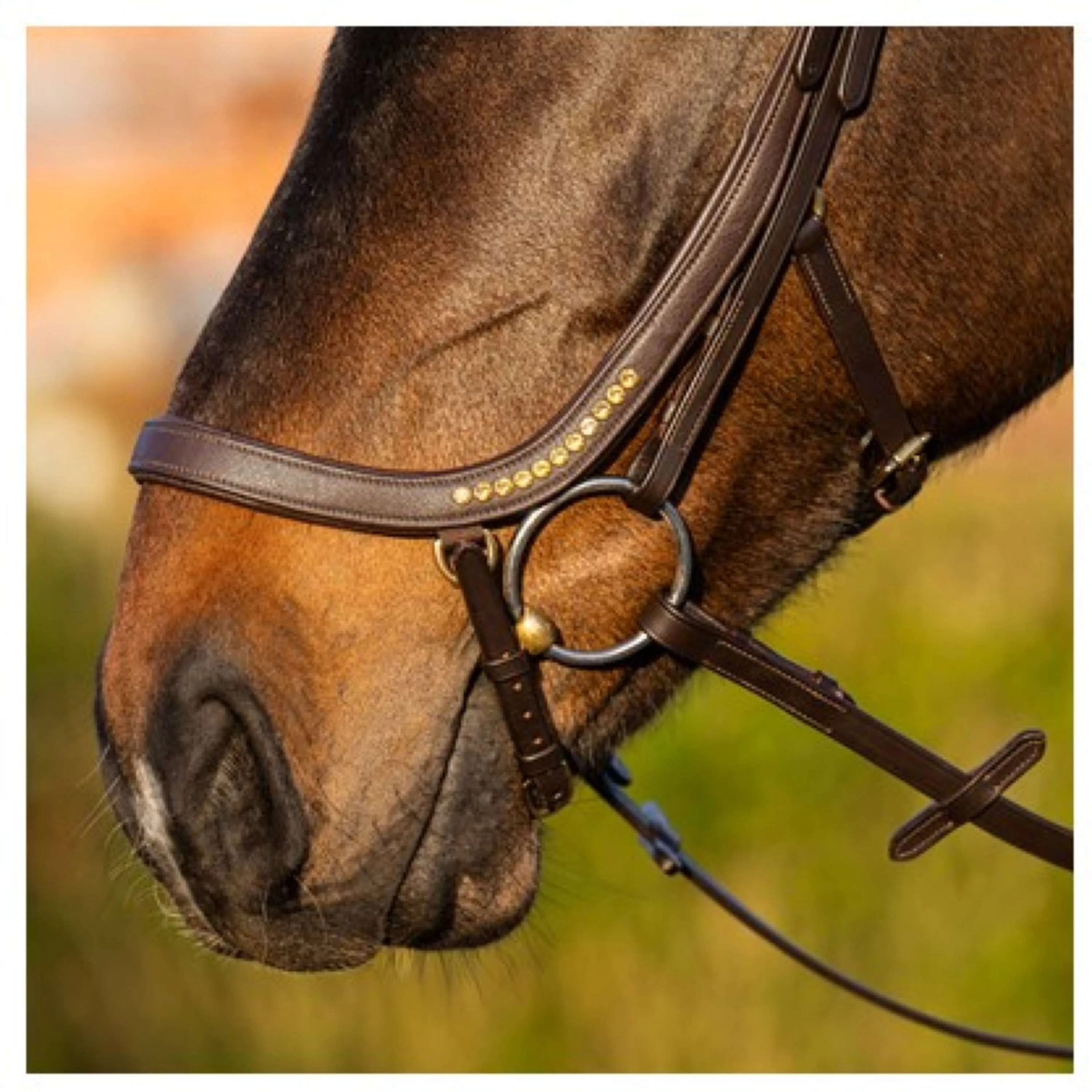 Harry's Horse Bride Anatomic Gold Marron - Image 3