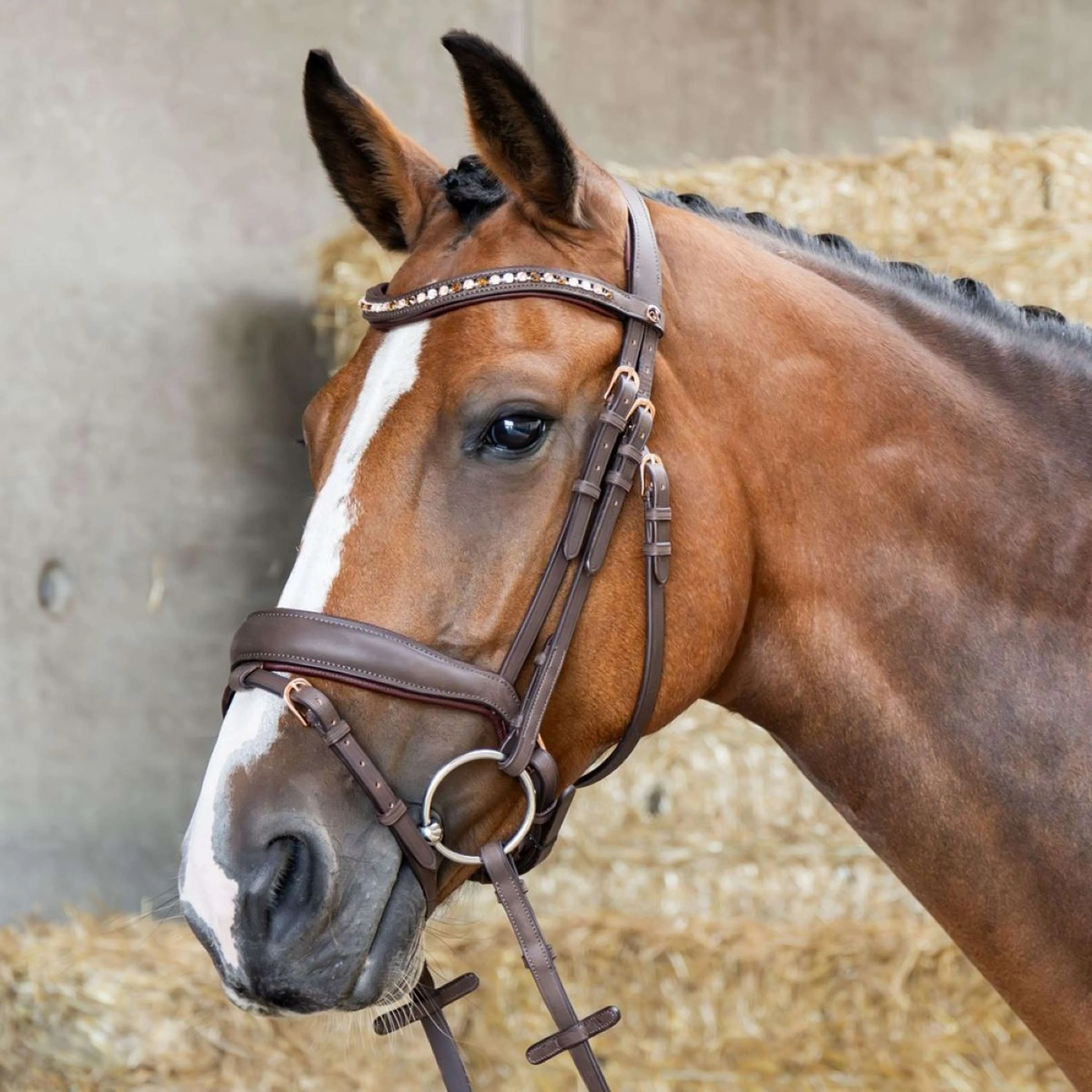 Harry's Horse Bride Bombastic Crystals Marron - Image 2