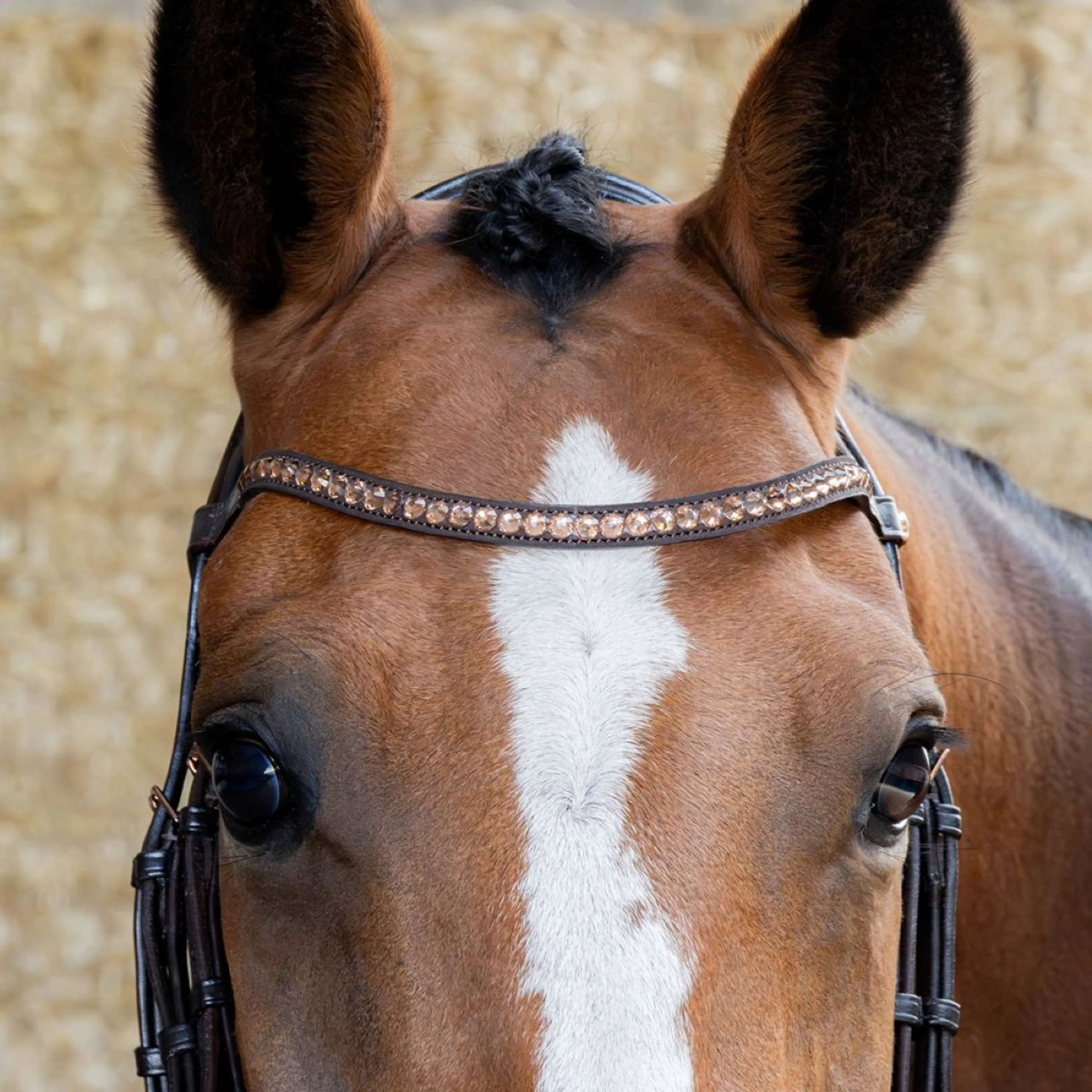 Harry's Horse Bride Copper Marron - Image 9