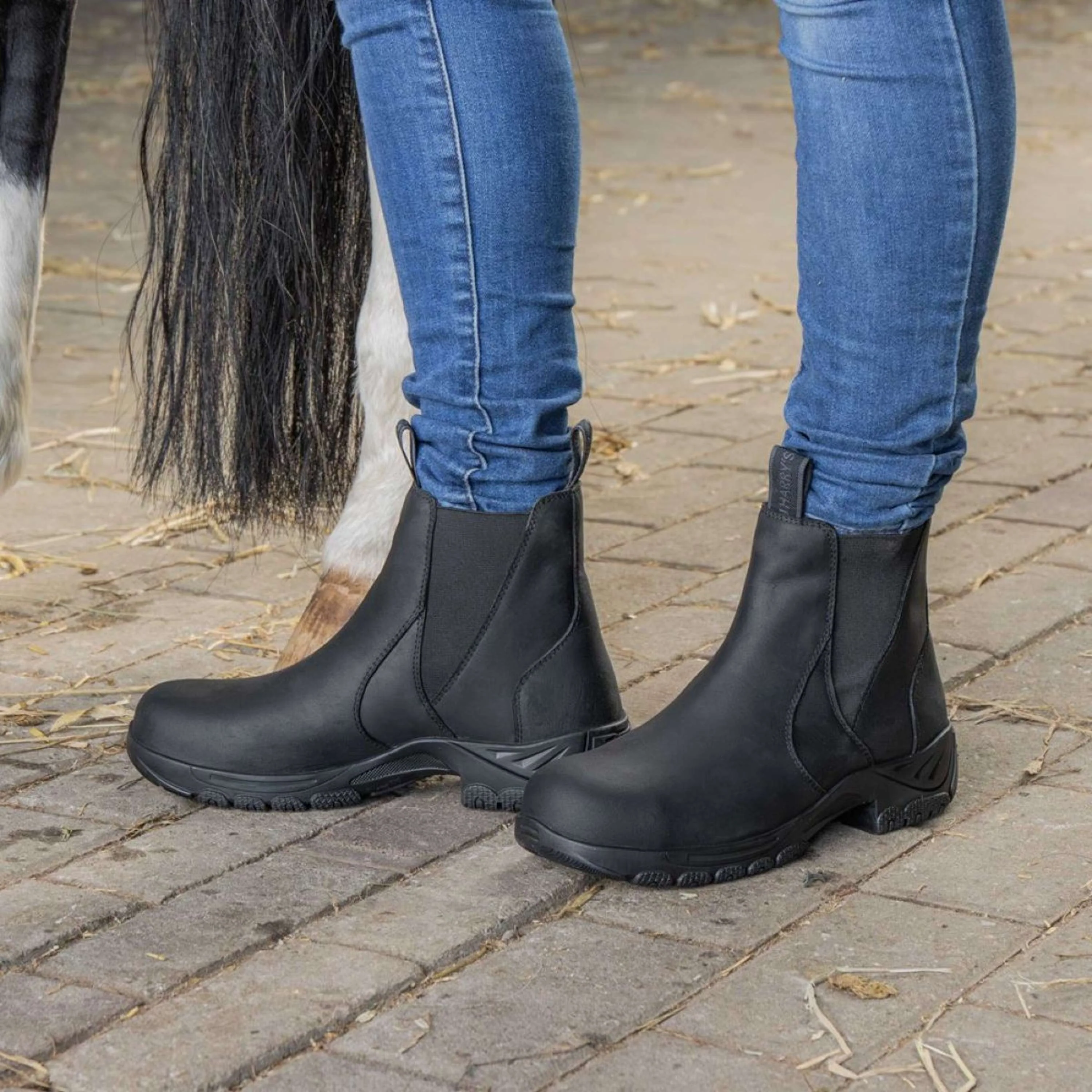 Harry's Horse Chaussures d'Écurie Leder Safety Steel Toe Noir - Image 2