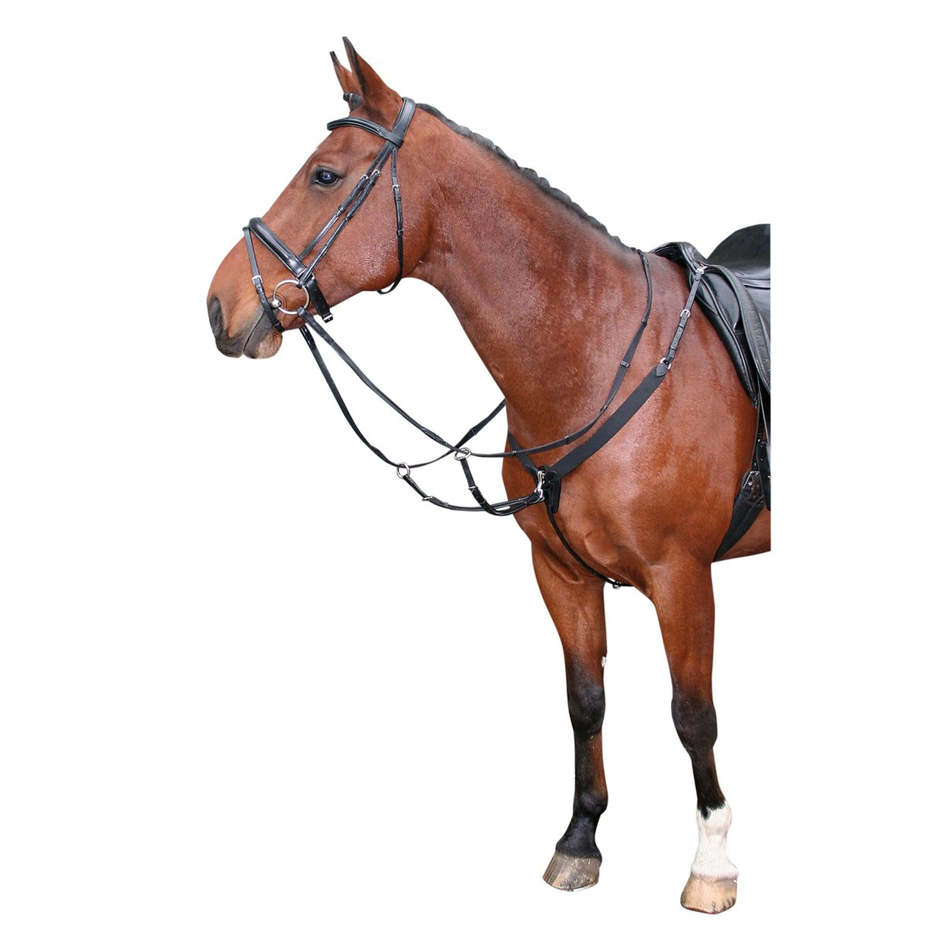 Harry's Horse Collier de Chasse Élastique Noir - Image 4
