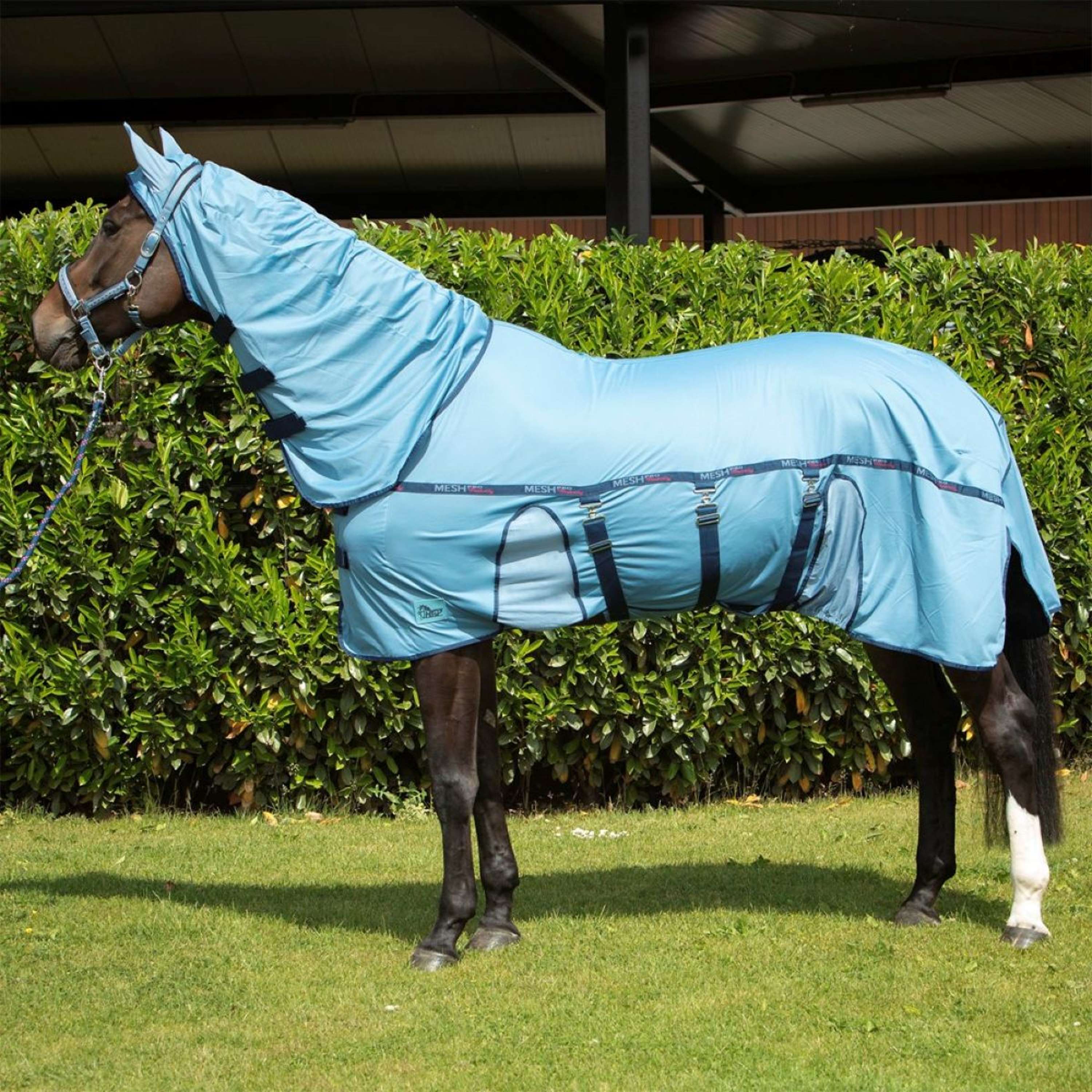 Harry's Horse Couverture Anti-Mouches Mesh-Pro Belly Bleu ciel - Image 2