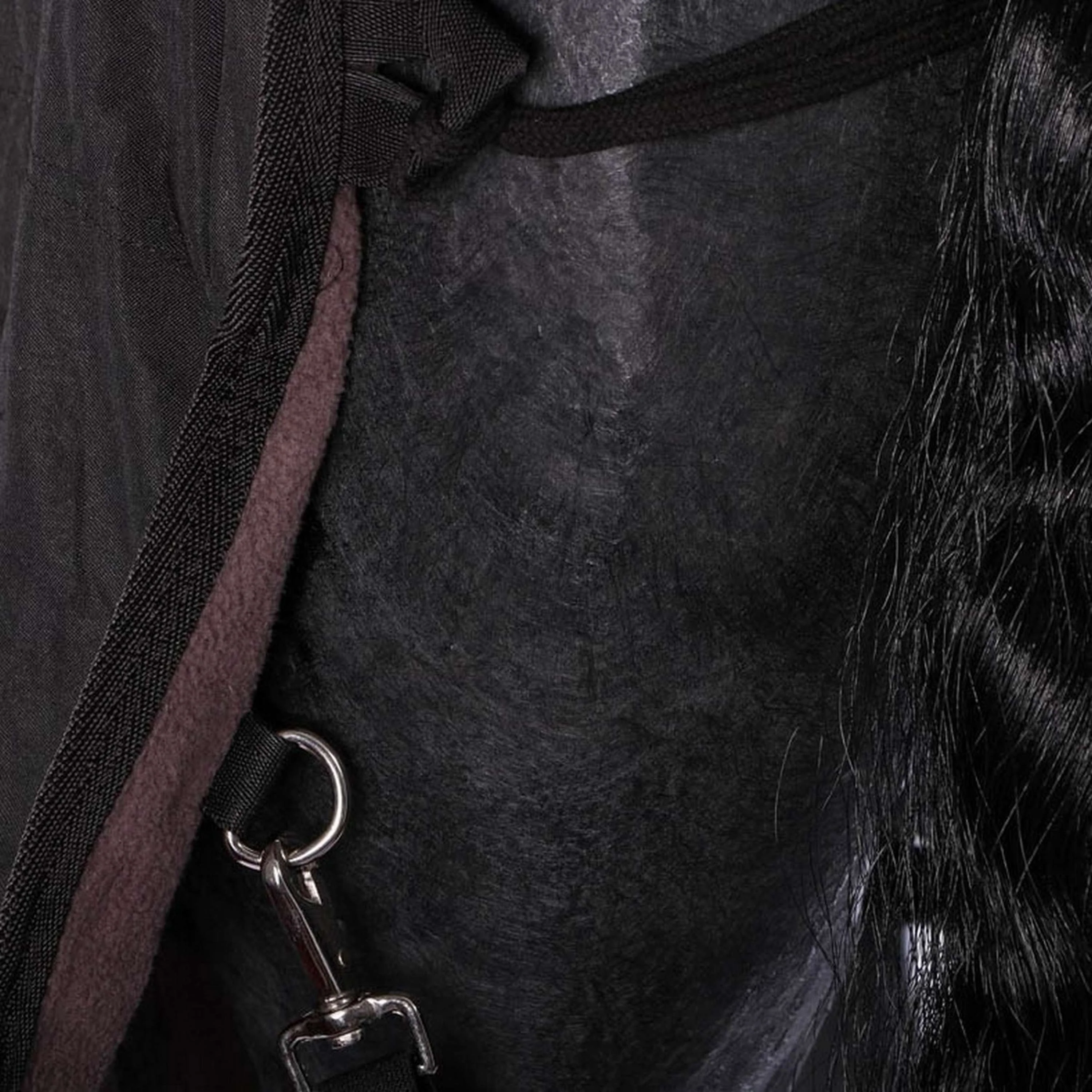 Harry's Horse Couverture d'Écurie Highliner 0g Marin avec accent de fer - Image 6