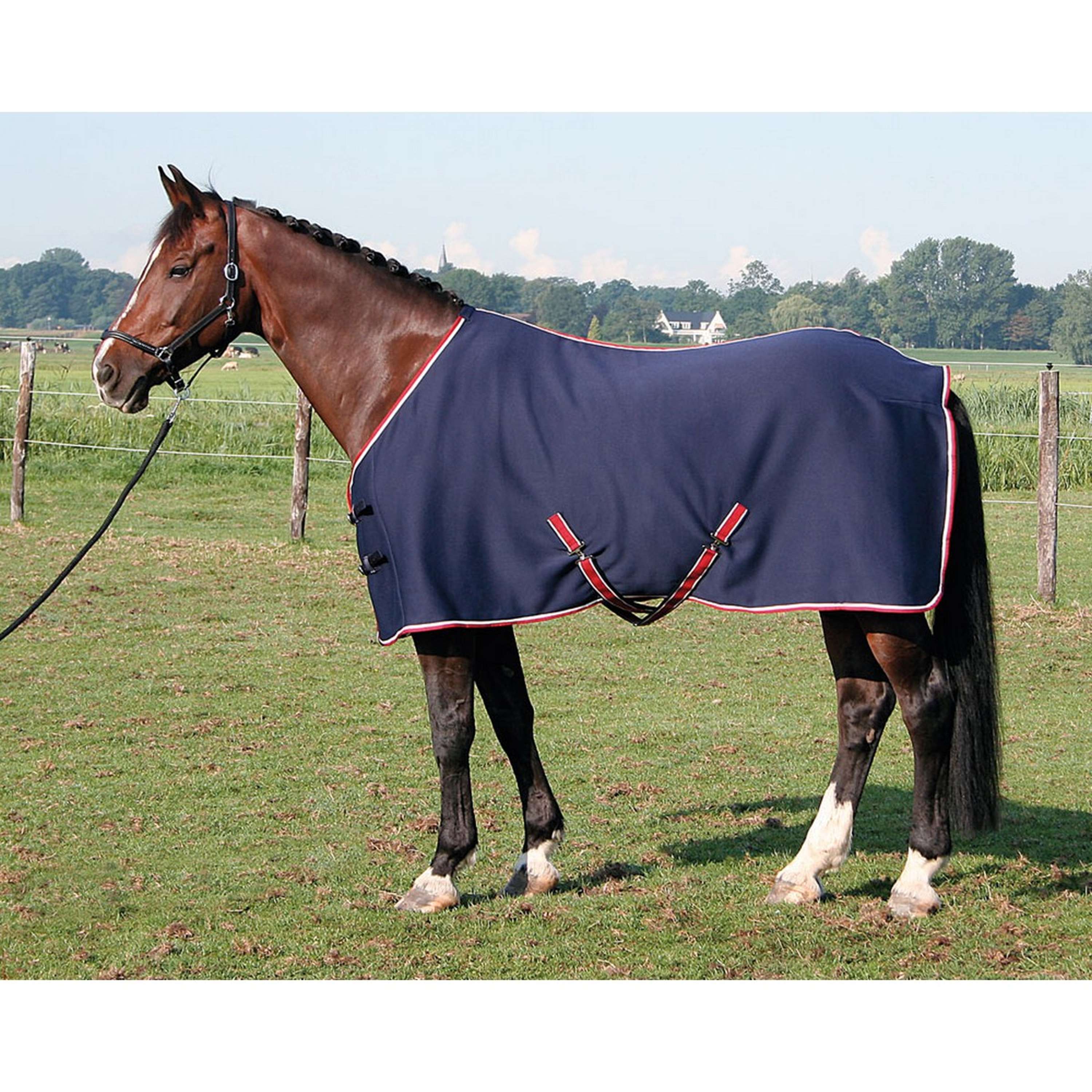 Harry's Horse Couverture Jersey Cooler Marin - Image 7