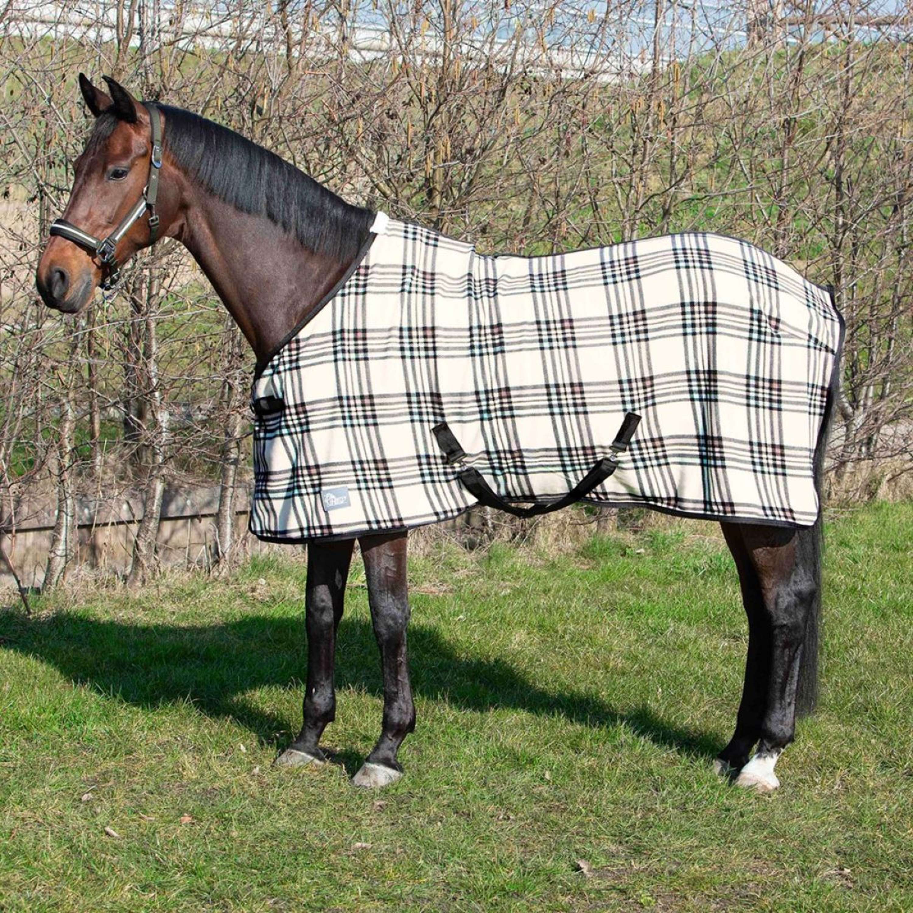 Harry's Horse Couverture Polaire Check Crème - Image 2