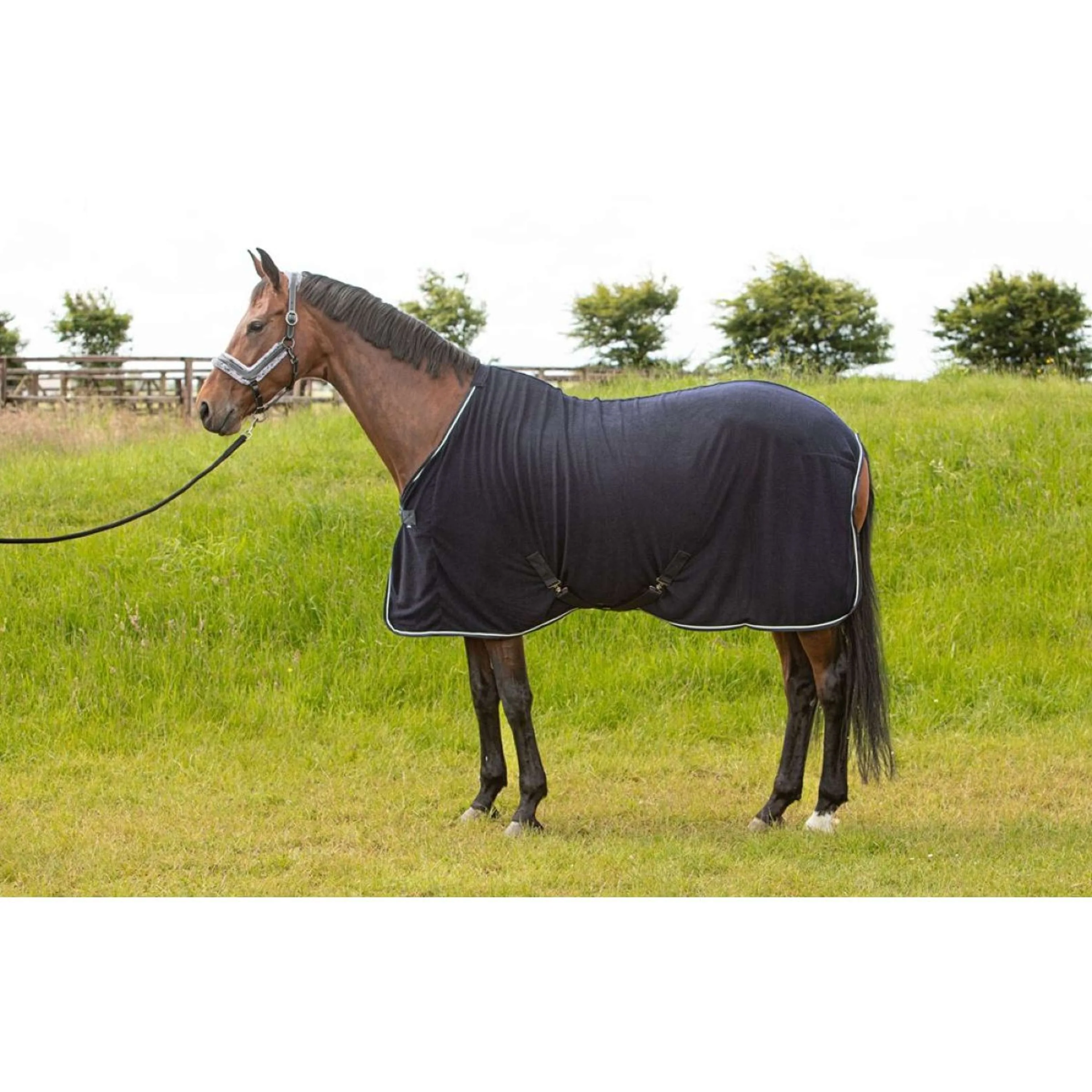 Harry's Horse Couverture Refroidissante Light Weight Corduroy Marin - Image 2