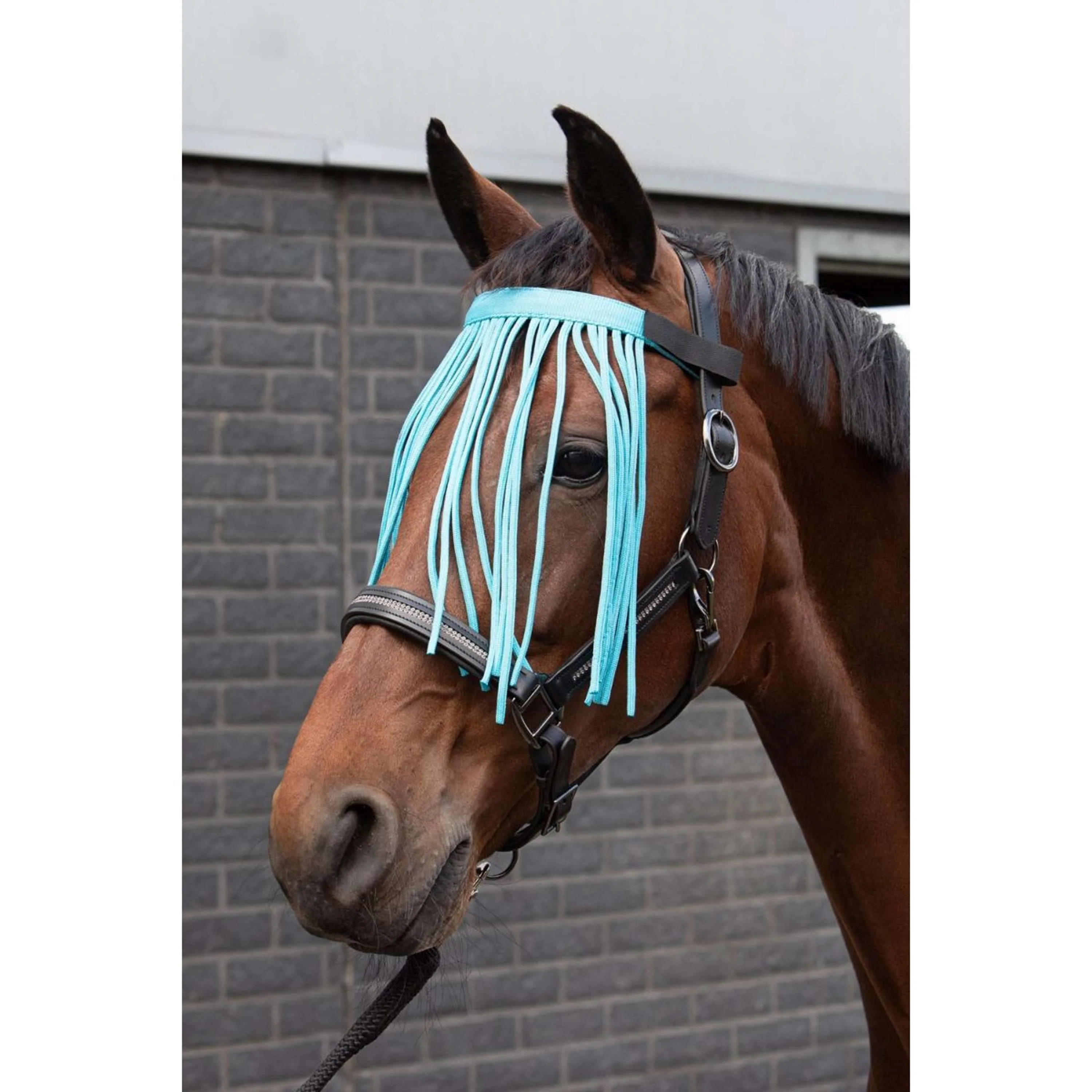 Harry's Horse Frontal Anti-Mouches Colour Bleu clair - Image 2