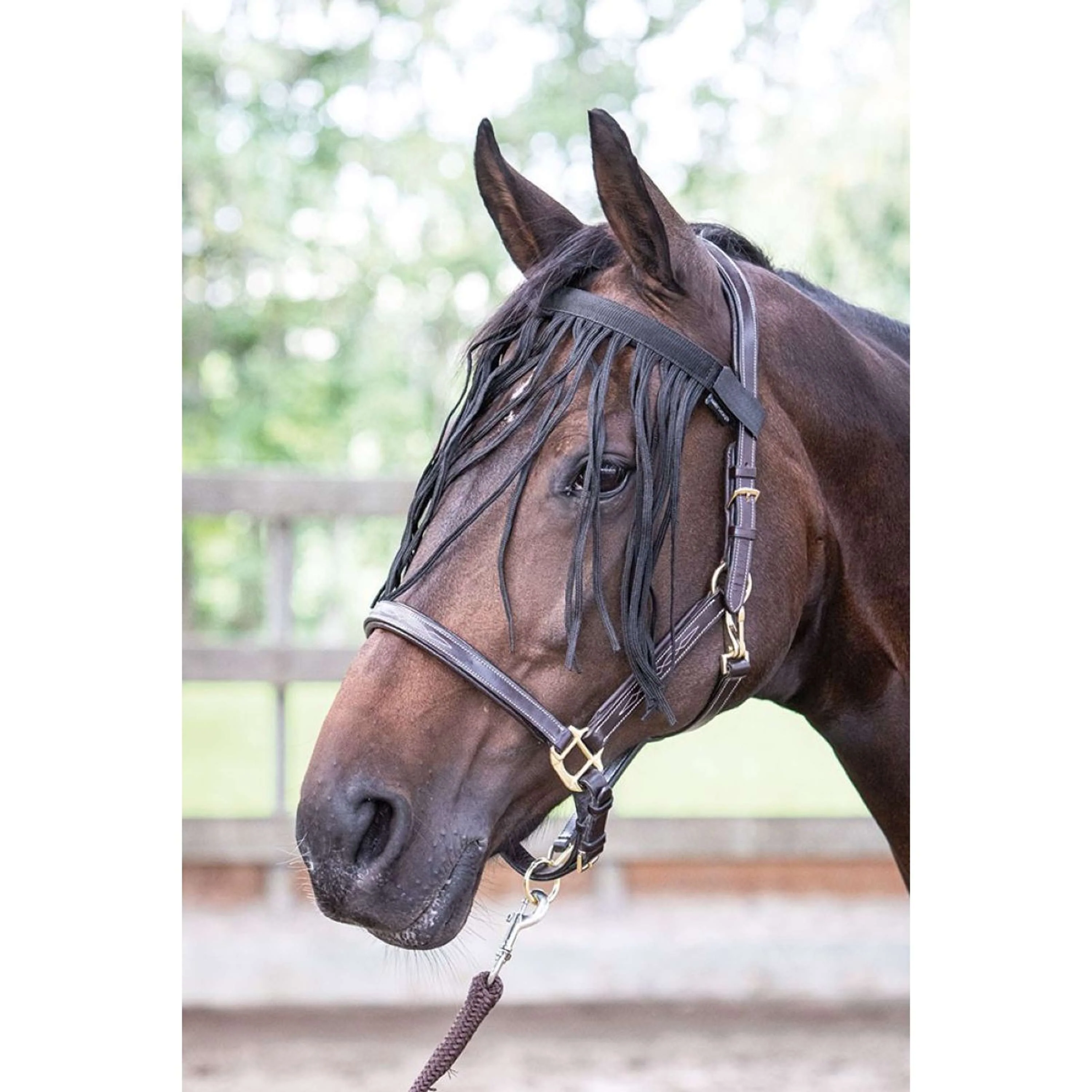 Harry's Horse Frontal Anti-Mouches Noir - Image 2