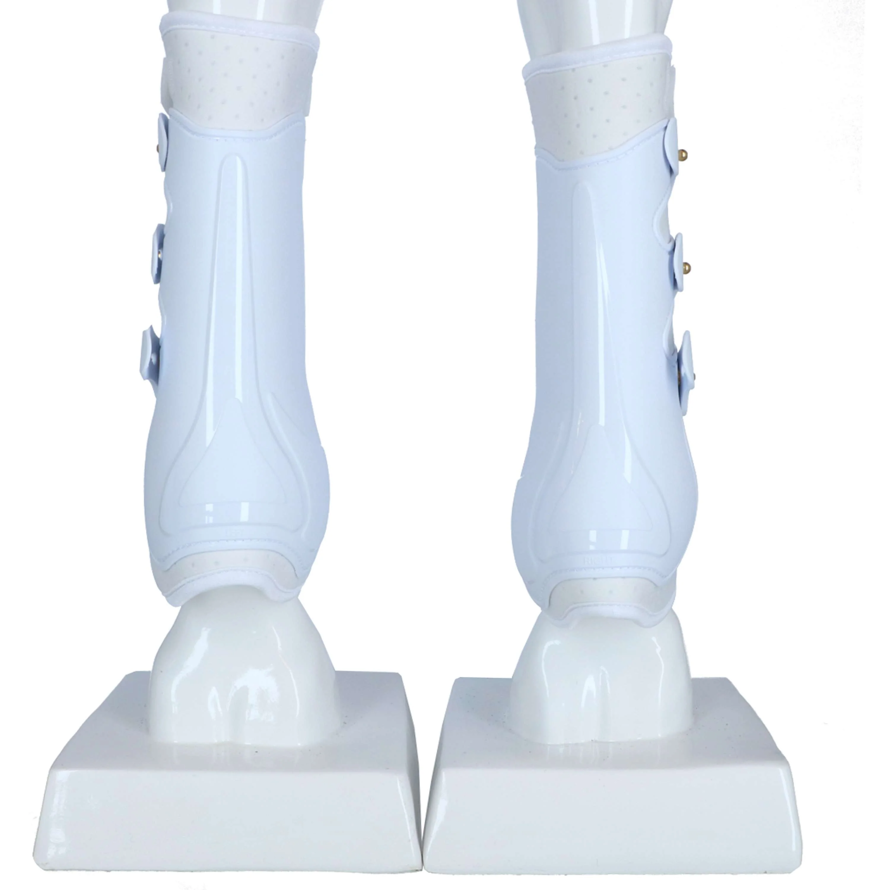 Harry's Horse Guêtres tendineuses Grand Prix Arrière Blanc - Image 3