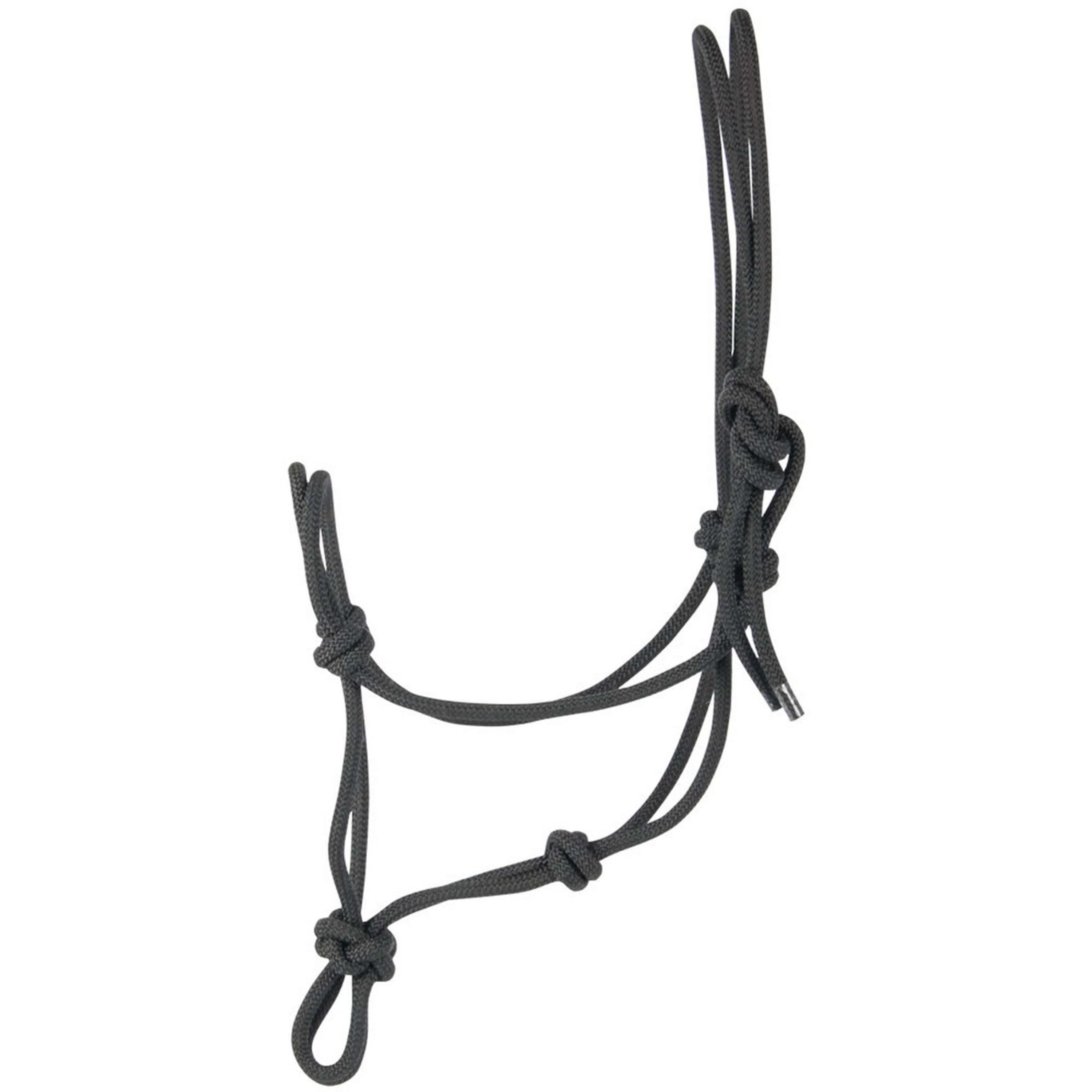 Harry's Horse Licol en Corde Noir