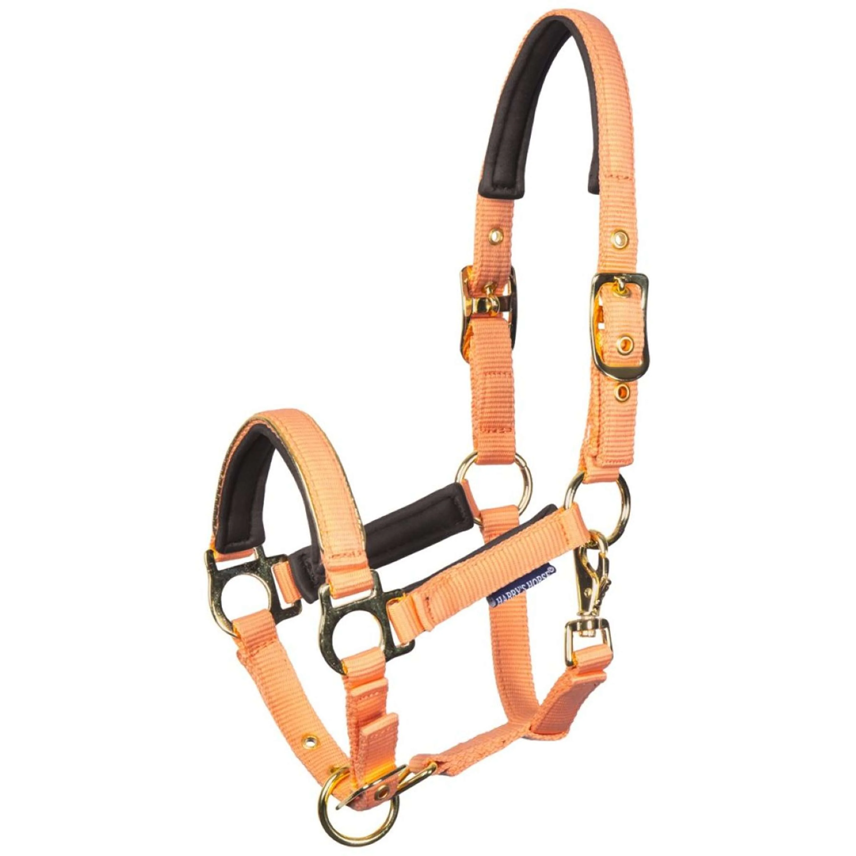 Harry's Horse Licol pour Poulain Metal Cadmium Orange