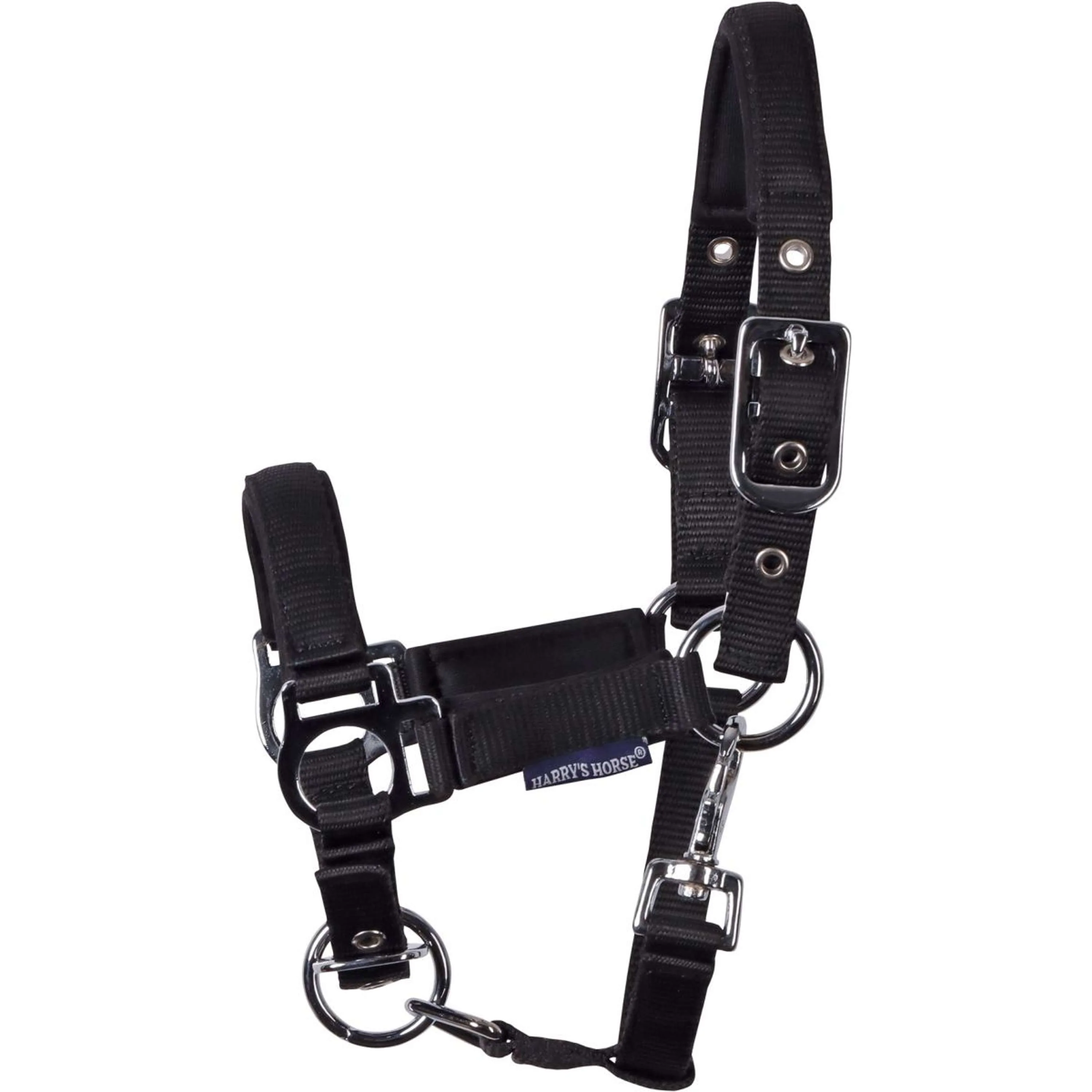 Harry's Horse Licol pour Poulain Padded Noir