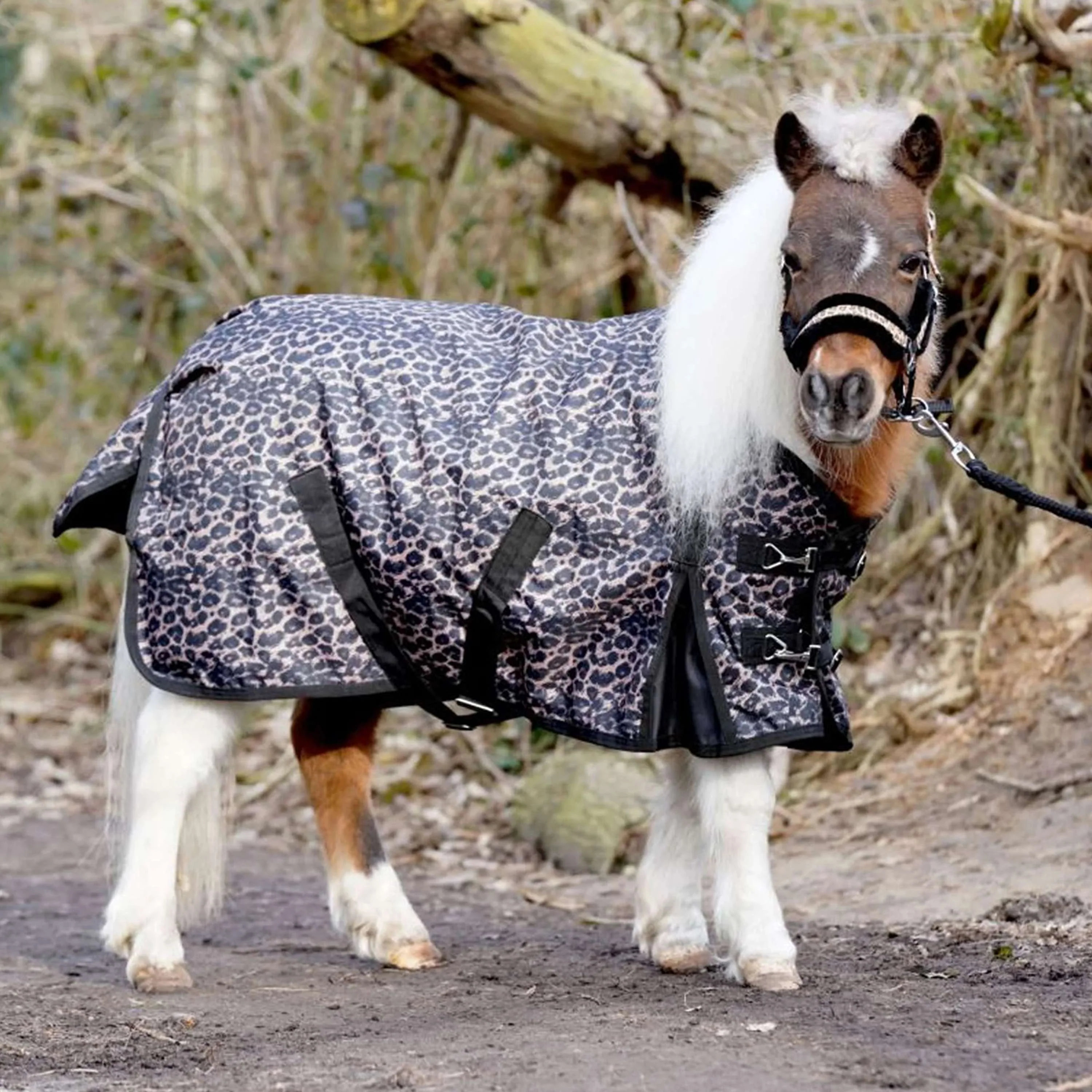 HB Couverture d'Extérieur Leopard Poney 0g Léopard