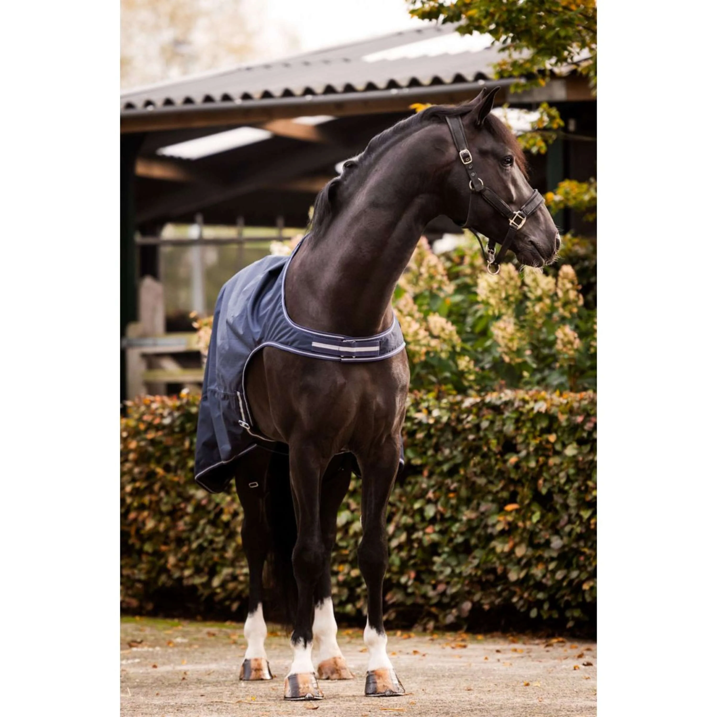 HB Chemise de Marcheur Showtime Marin - Image 2