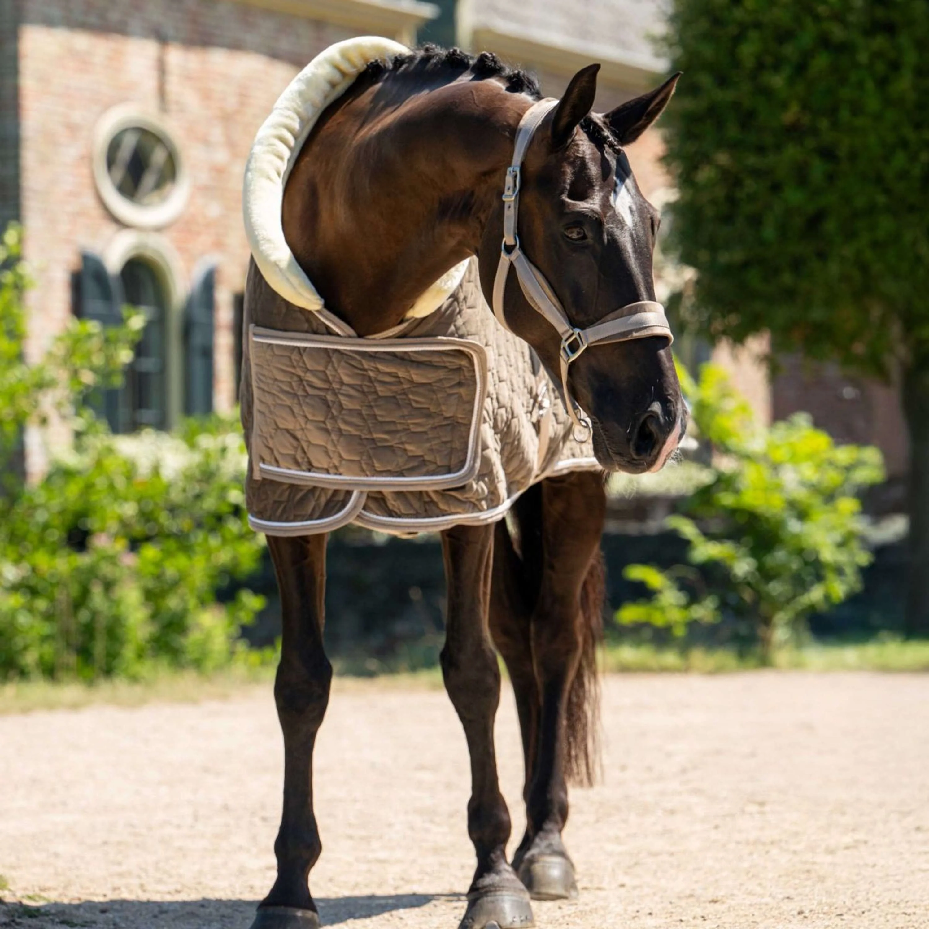 HB Ruitersport Couverture de Concours Special Peach Taupe - Image 5