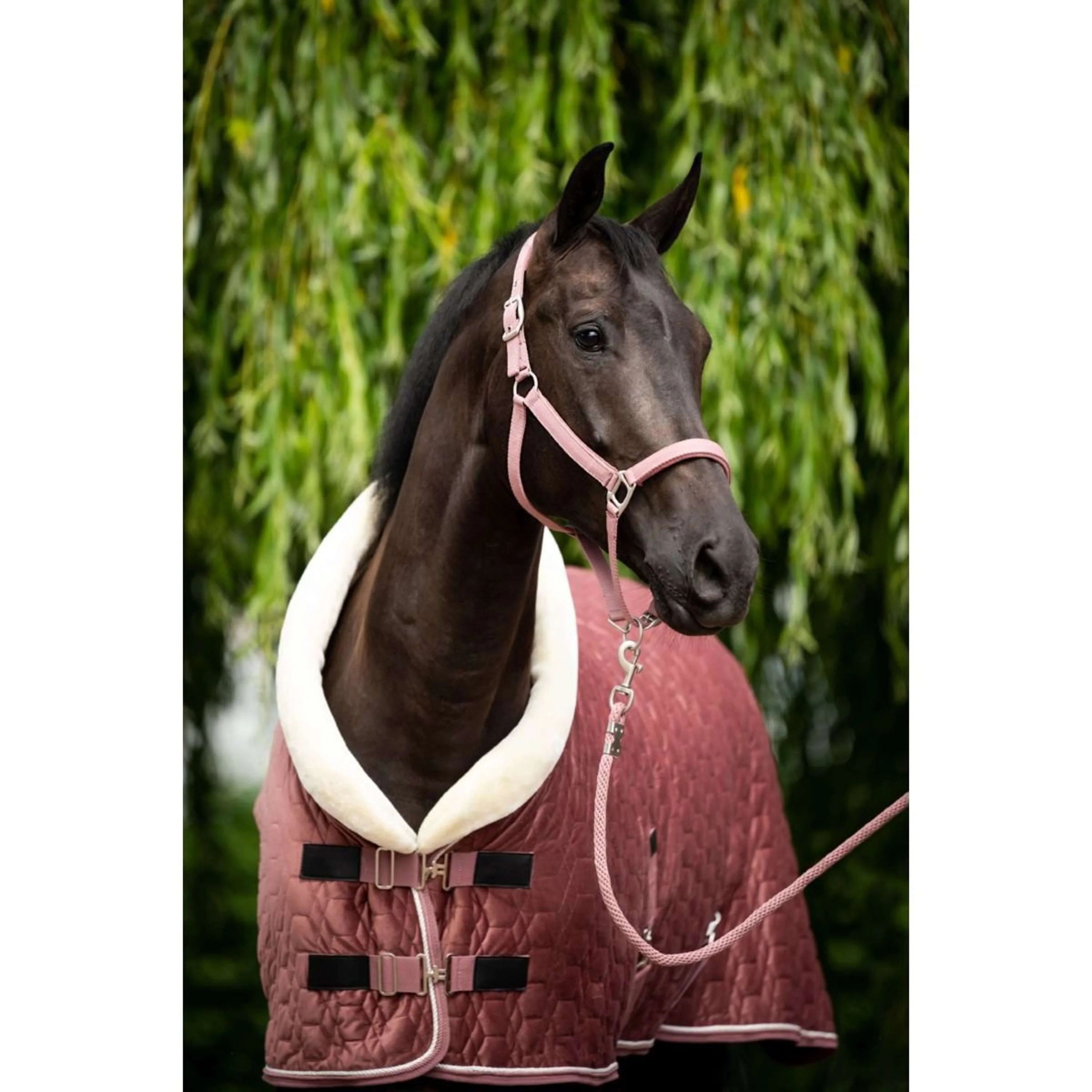 HB Couverture de Concours Velvet Peach Tropical 160g Pêche - Image 3