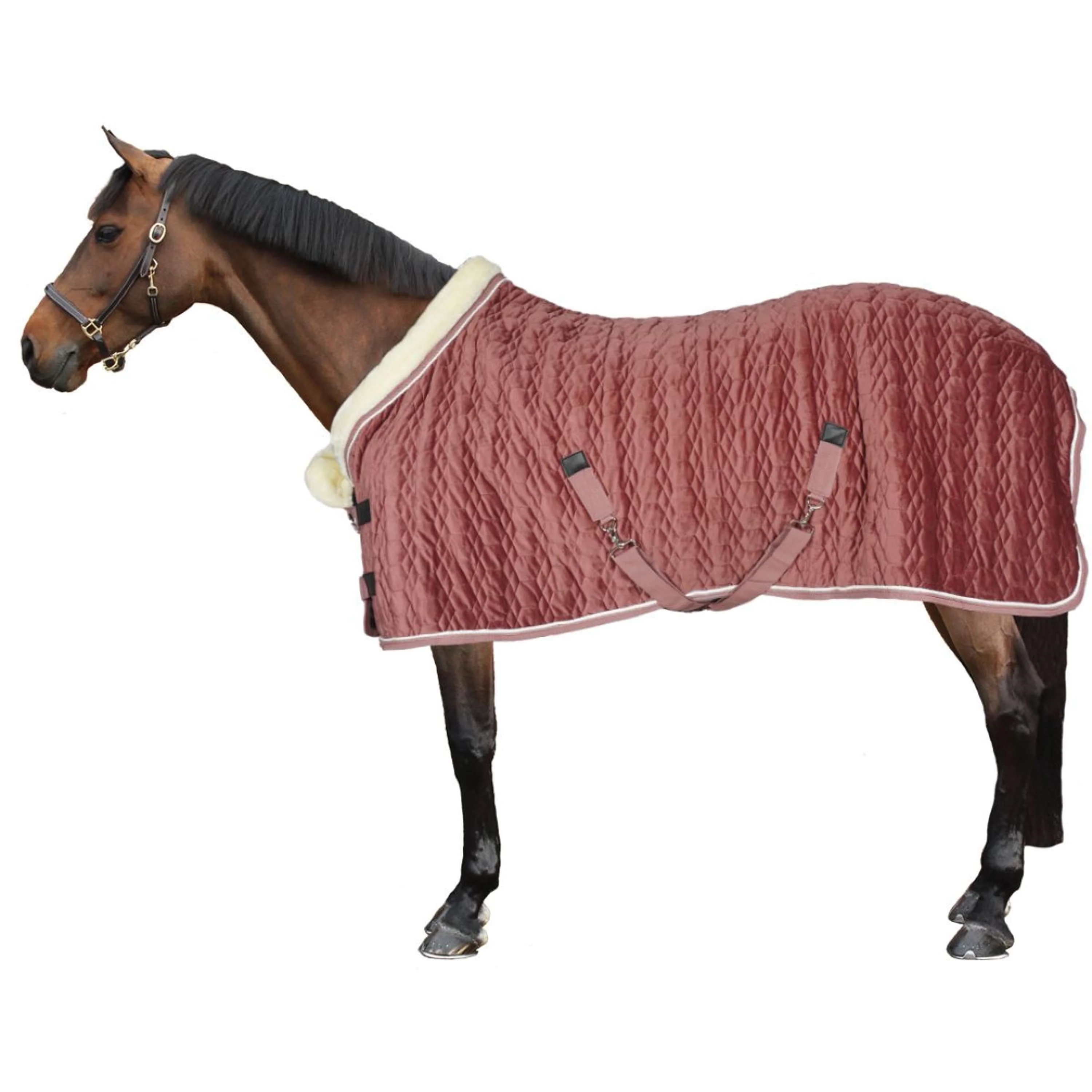 HB Couverture de Concours Velvet Peach Tropical 160g Pêche - Image 5