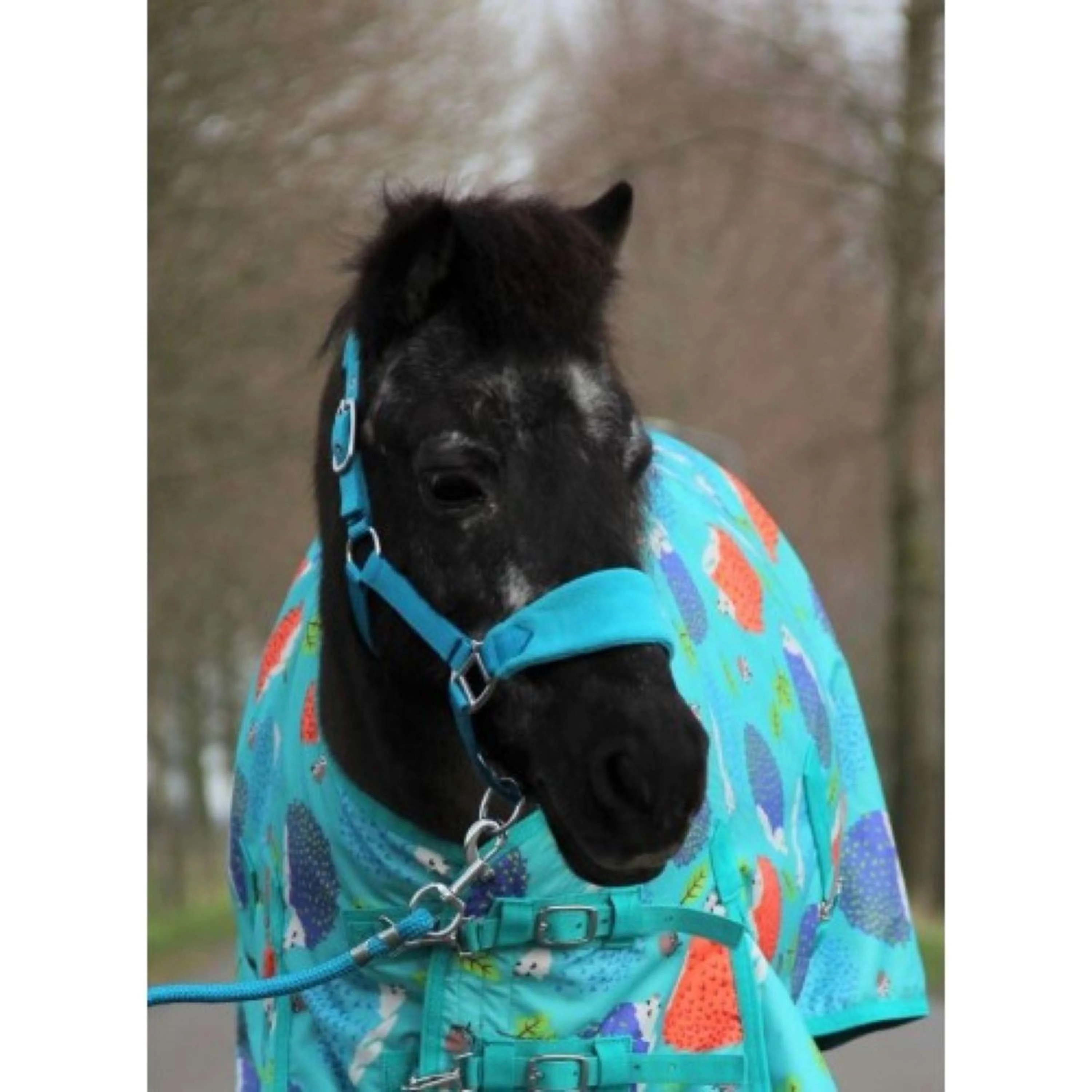HB Licol Bellwood Fleece Turquoise - Image 2