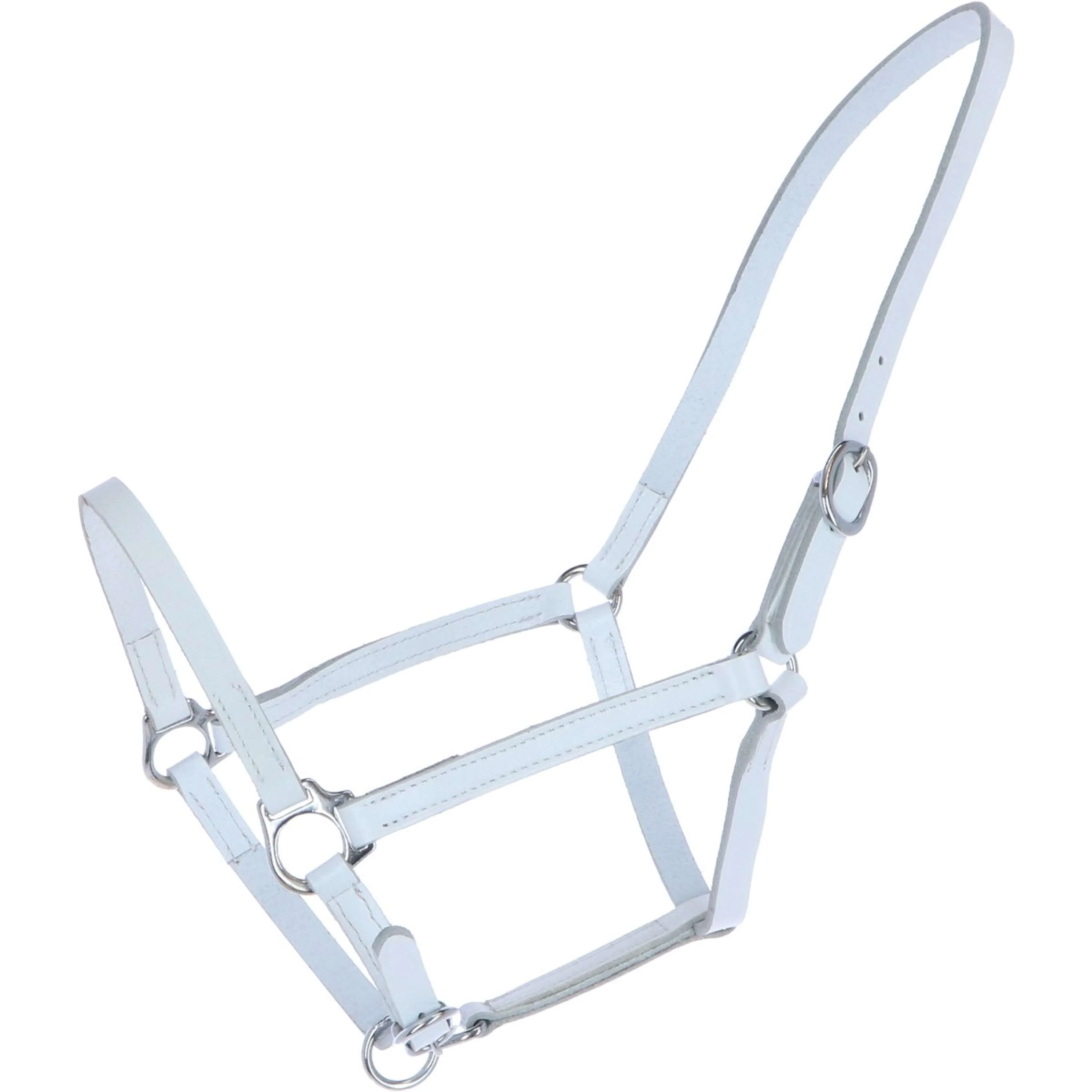 HB Licol Big Foal Leer Blanc