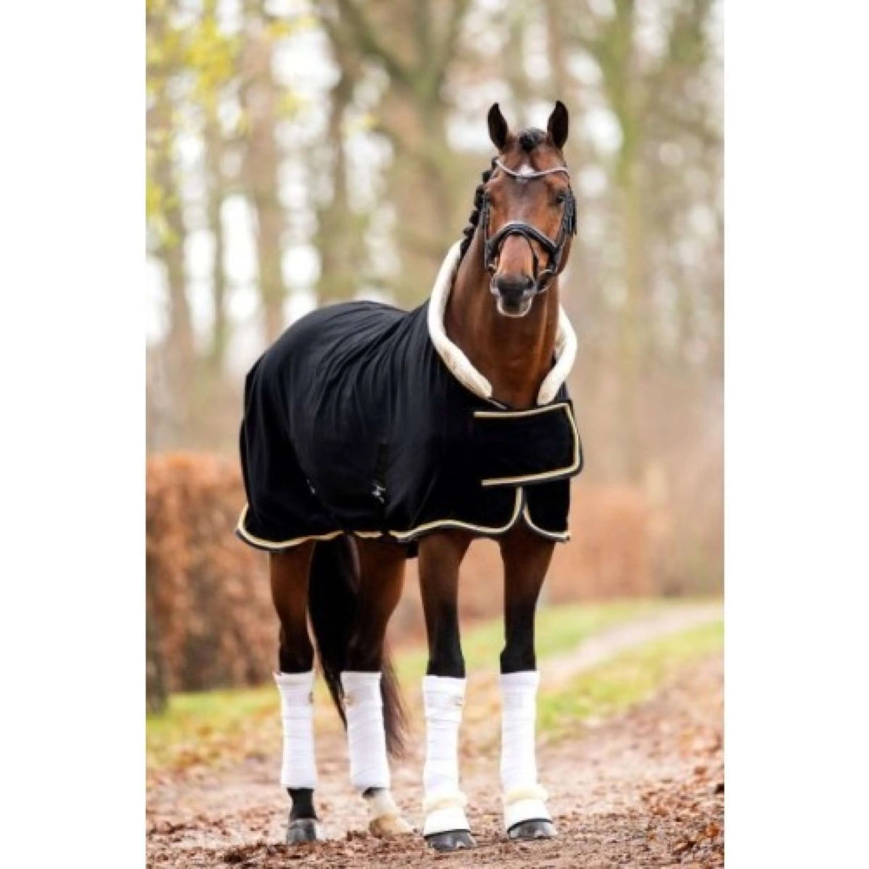 HB Showtime Couverture de Concours Dutch Crown Noir - Image 9
