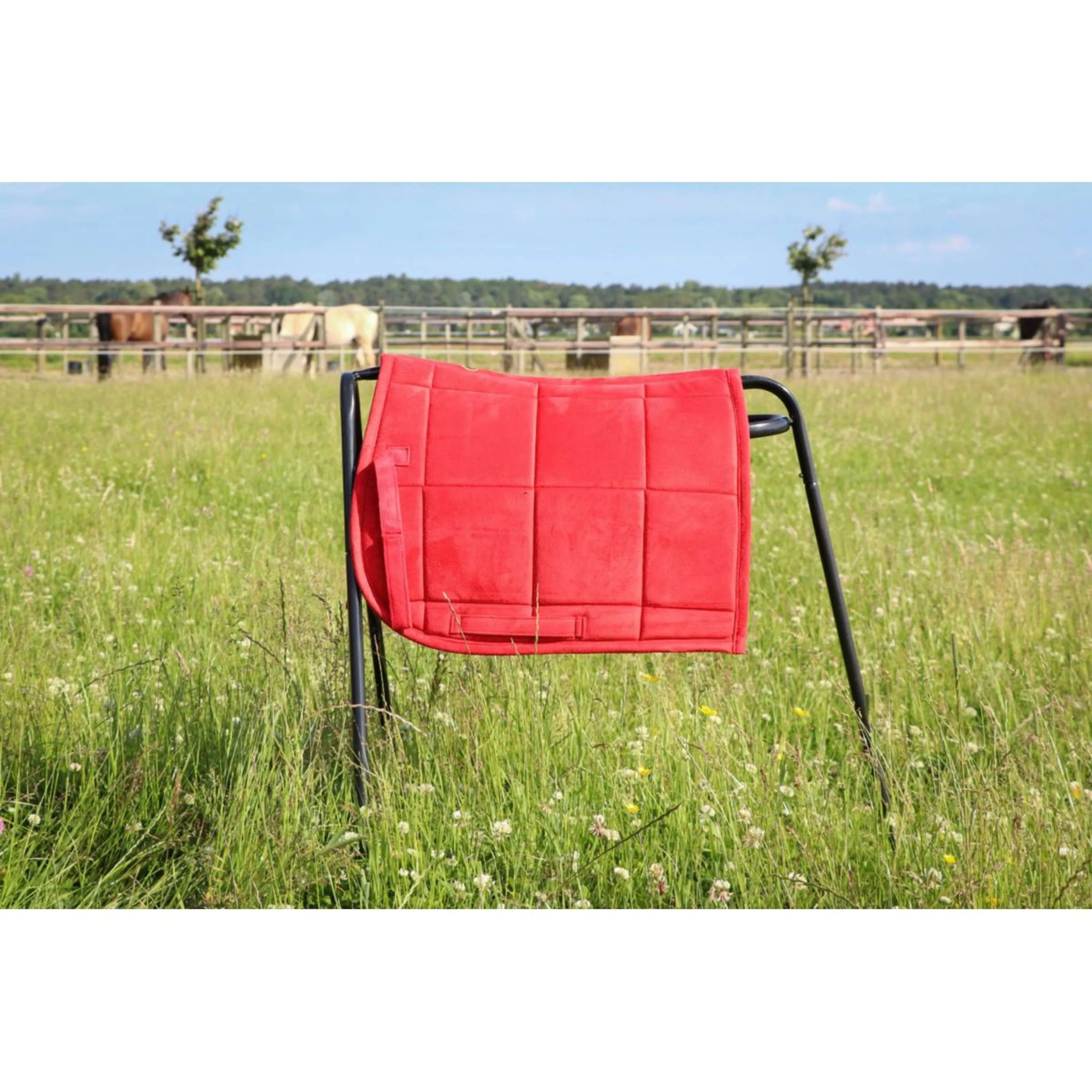 HB Tapis de Selle Shetland Rouge - Image 2