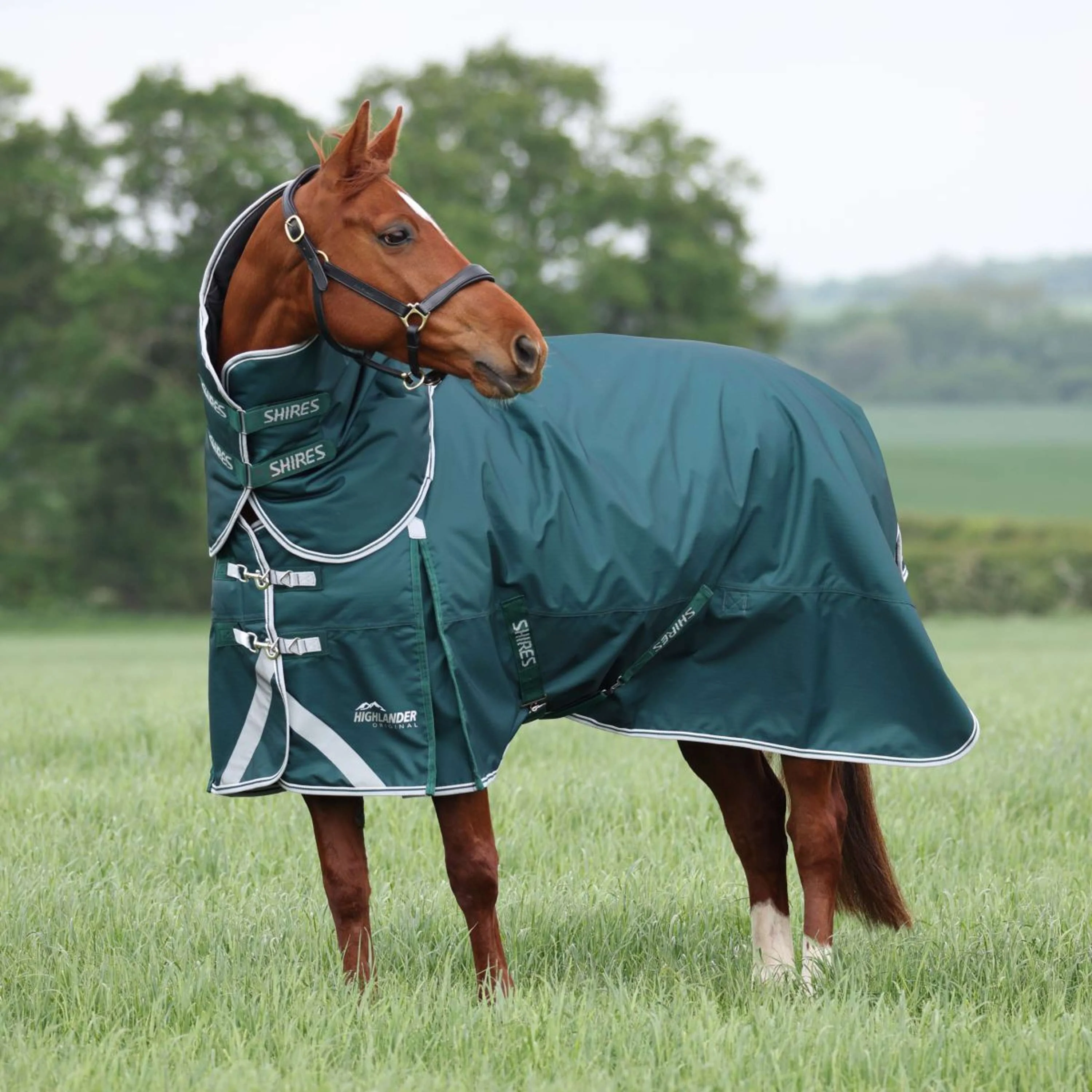 Highlander Original by Shires Couverture d'Hiver Turnout 300g avec Couvre-cou Vert