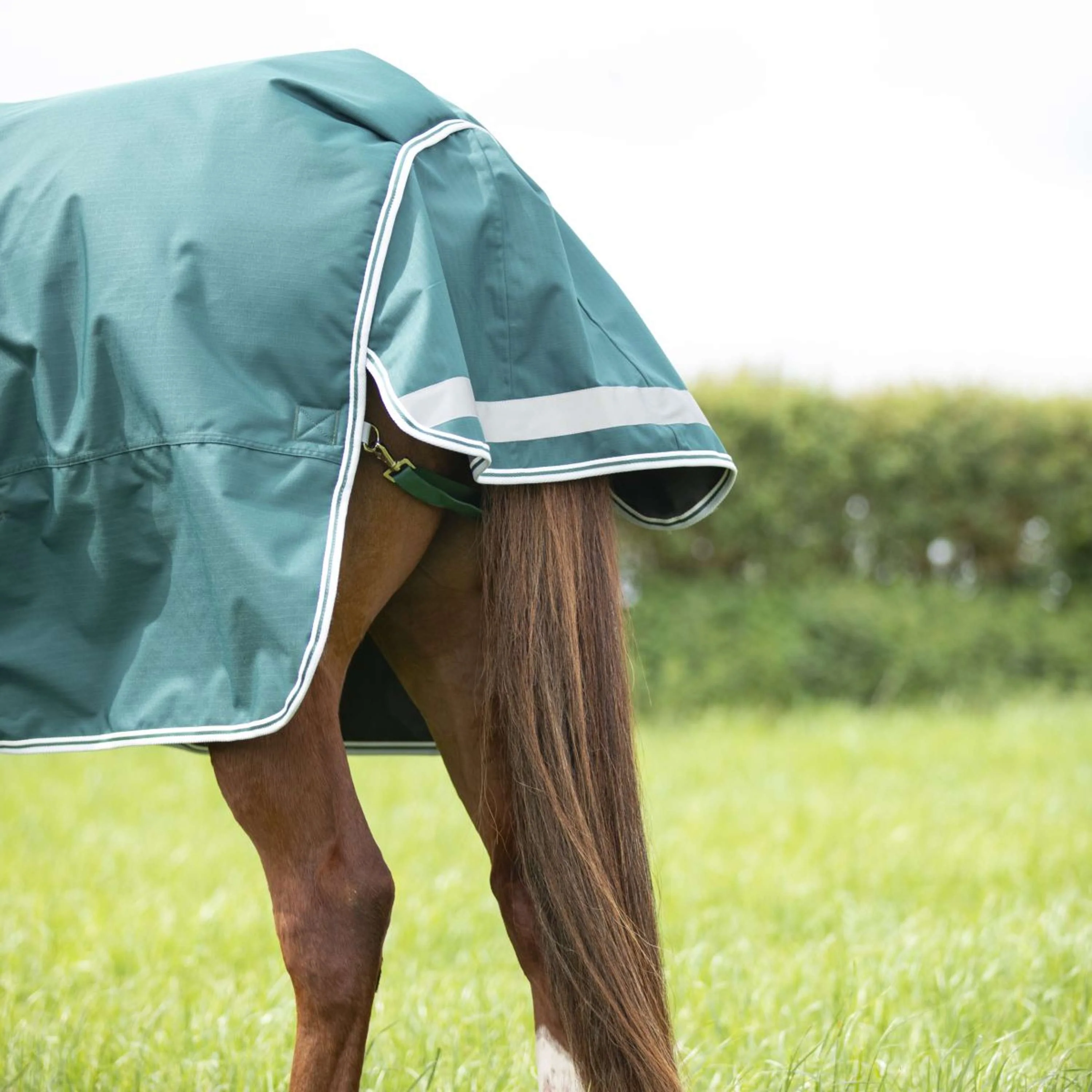 Highlander Original by Shires Couverture d'Hiver Turnout 300g avec Couvre-cou Vert - Image 6