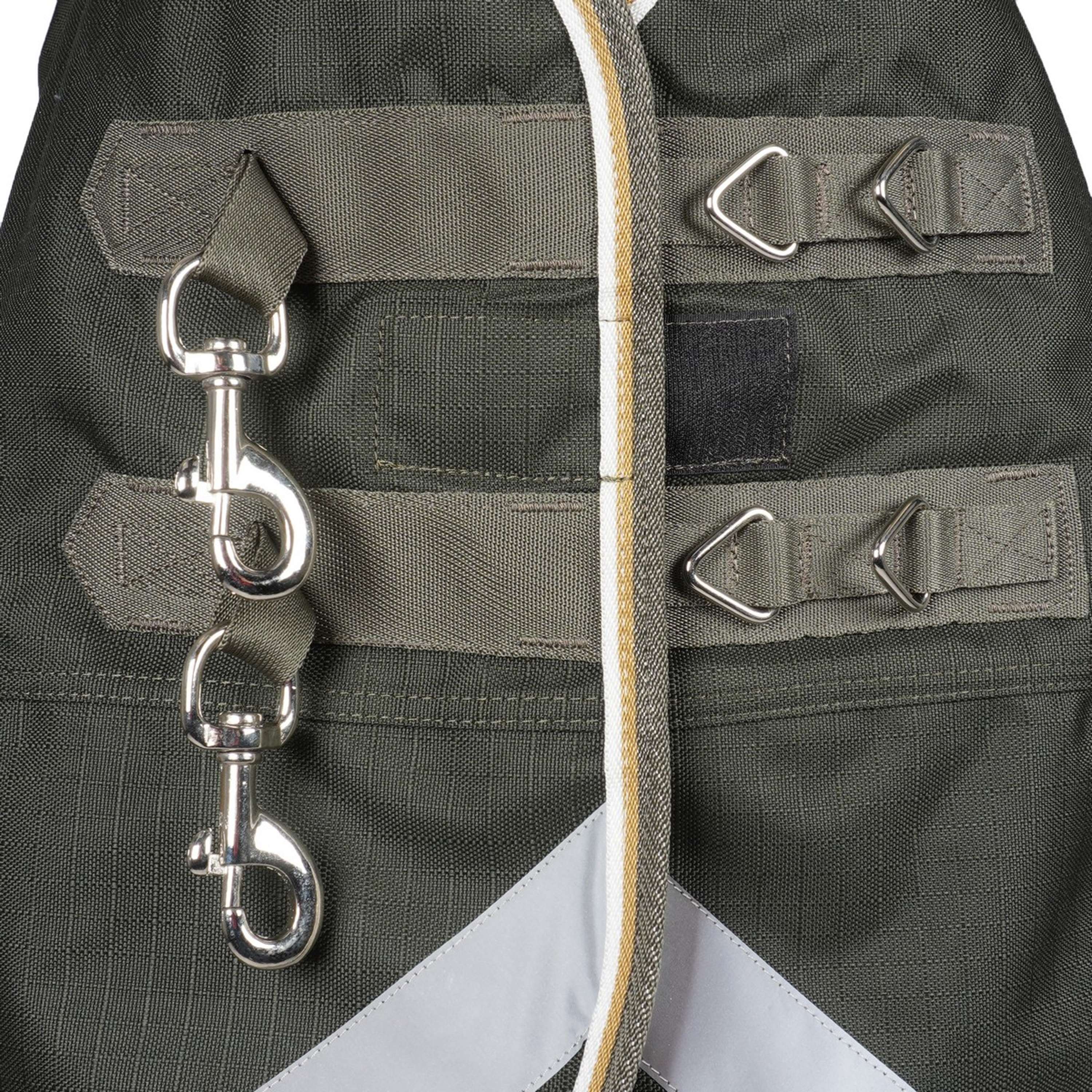 Highlander Plus by Shires Couverture d'Hiver Combo 50g Vert - Image 4