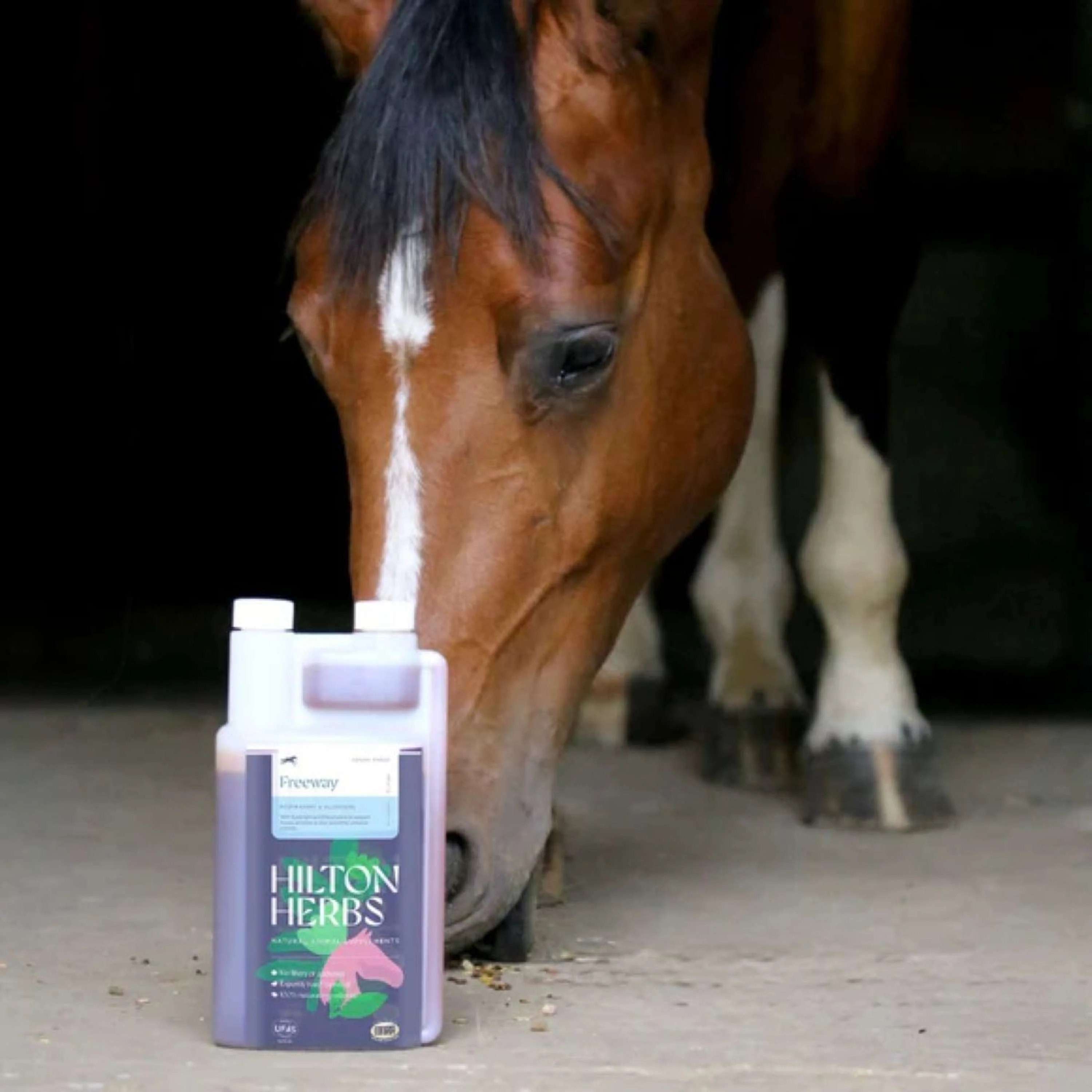 Hilton Herbs Freeway Liquid - Image 2