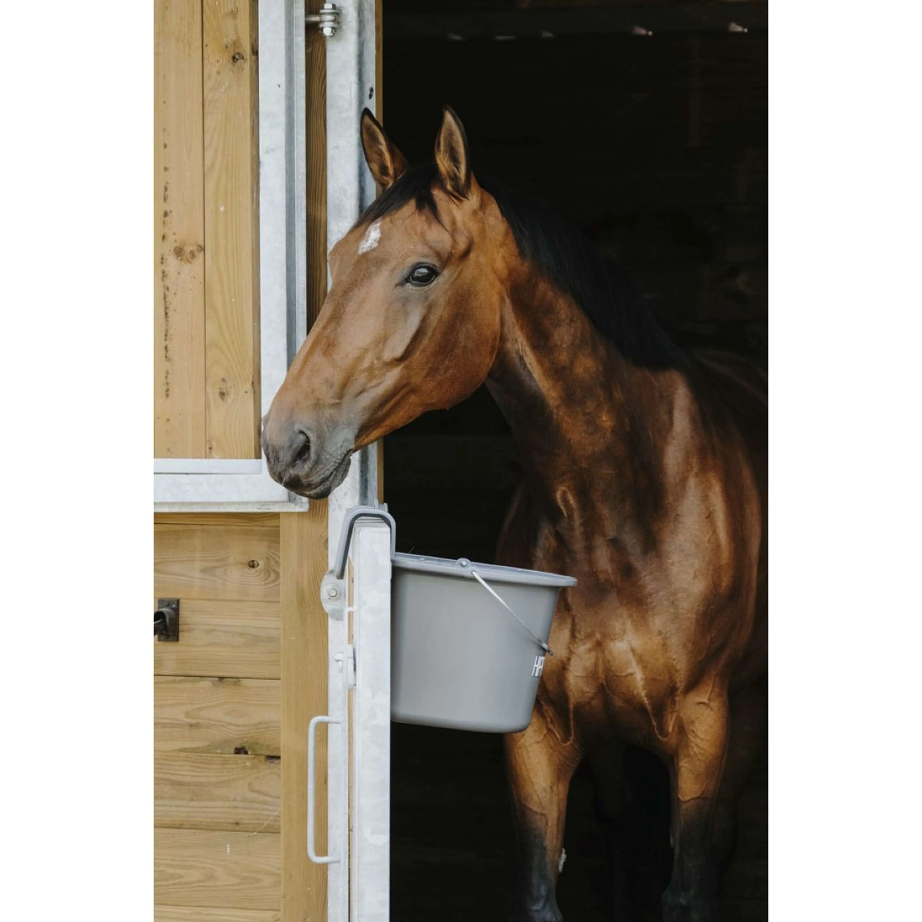 Hippotonic Mangeoire avec Poignée Gris Foncé - Image 7