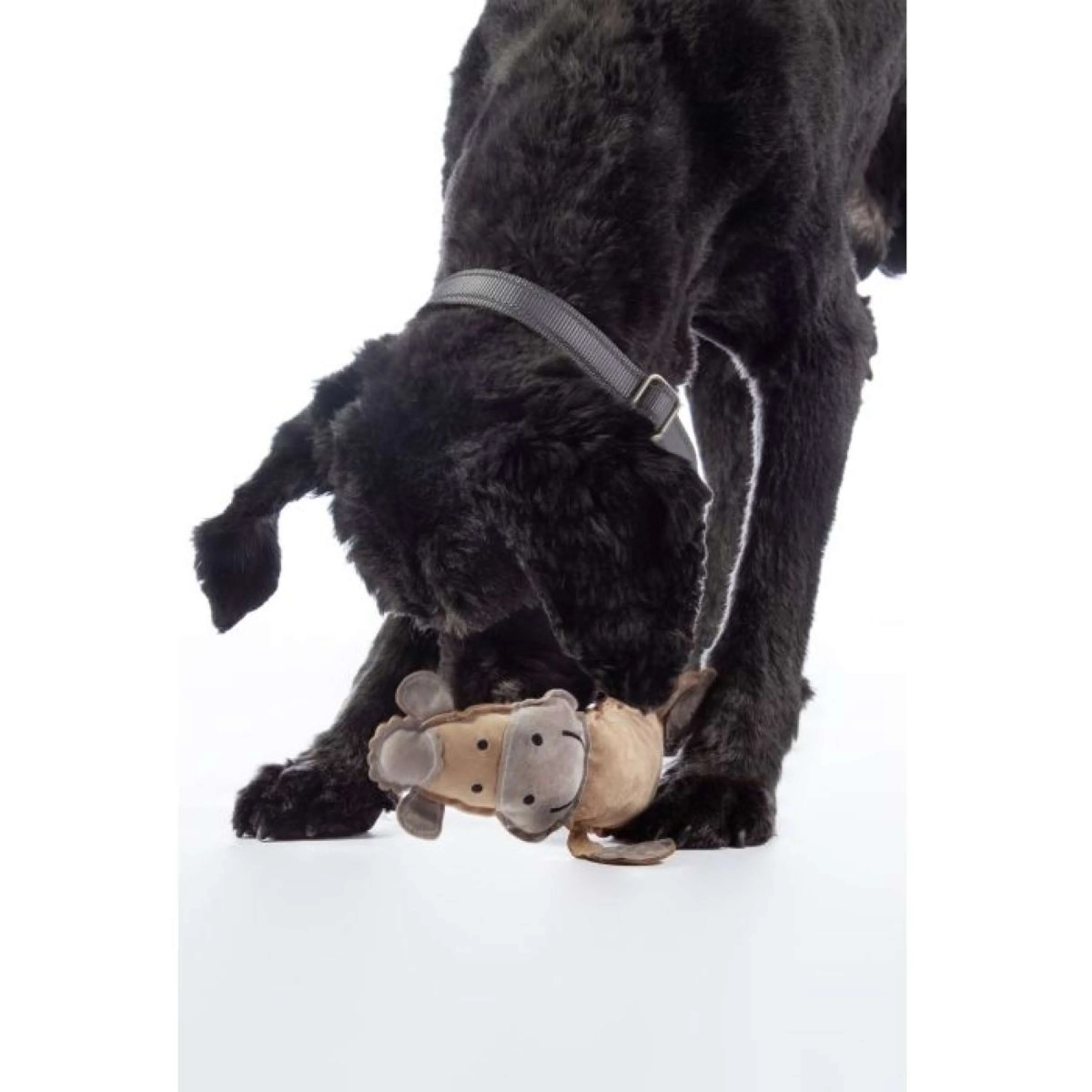 HKM Jouets pour Chien Buddy Cheval Nature/Gris clair - Image 2
